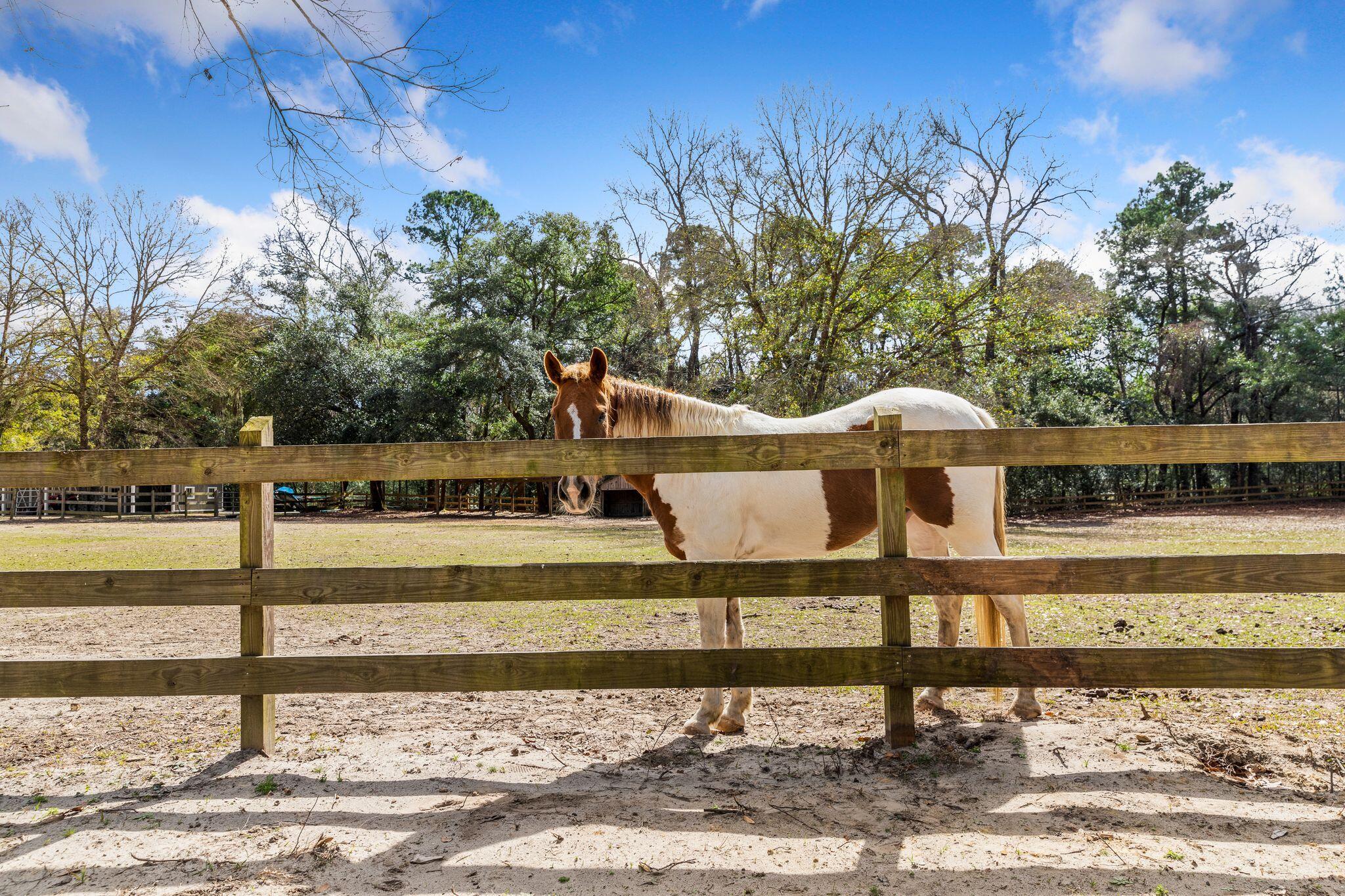5434 Chaplins Landing Road