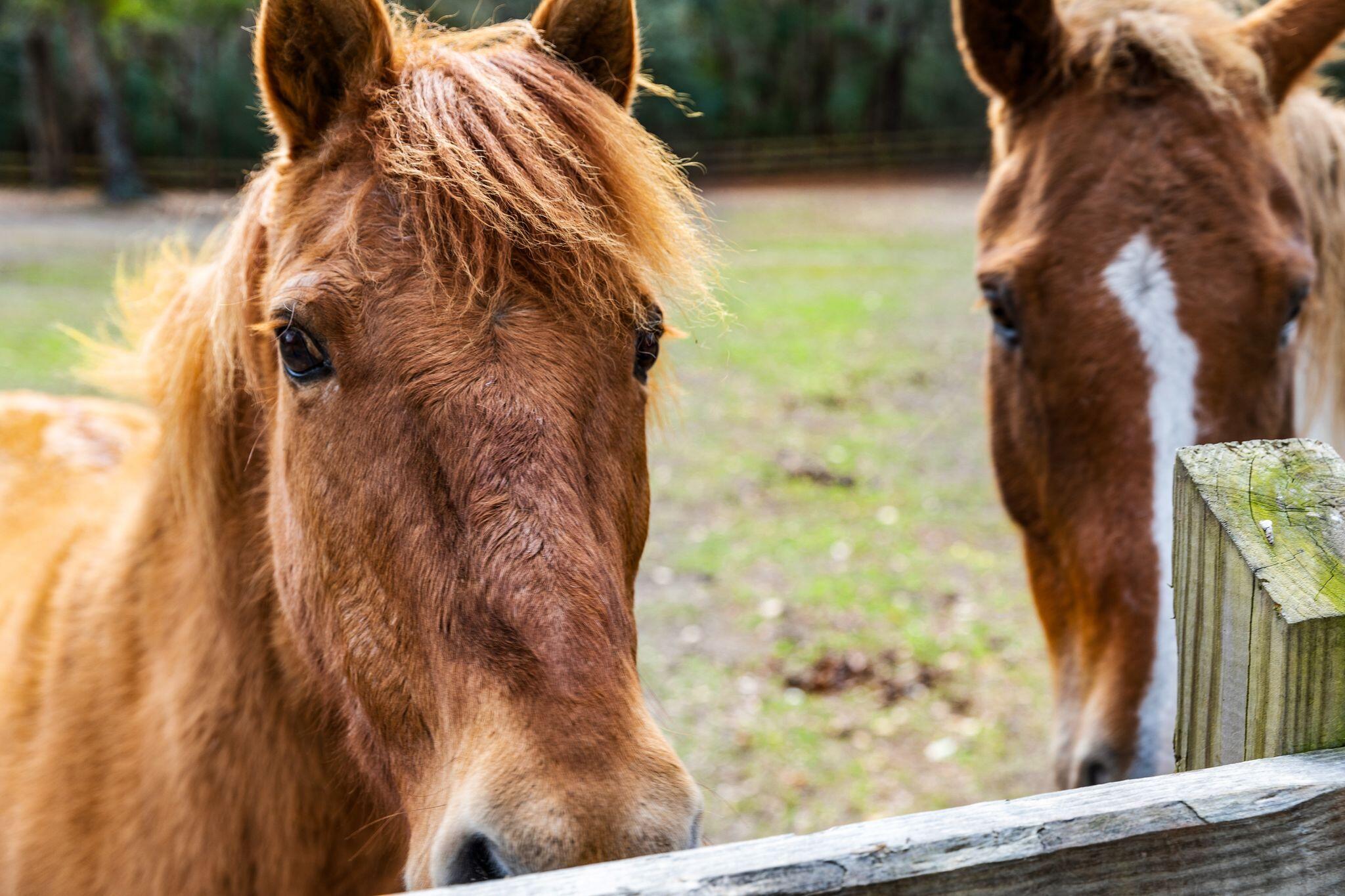 5434 Chaplins Landing Road