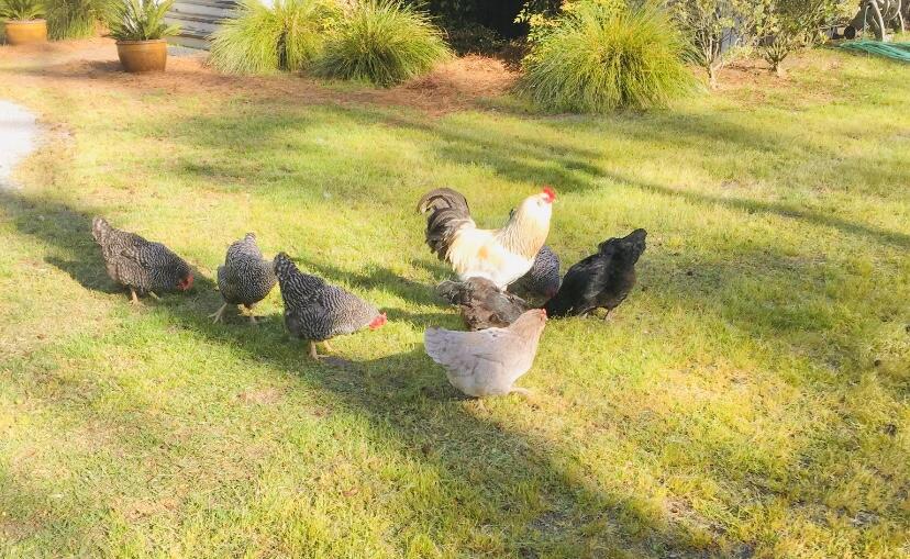 2951 Murraywood Road