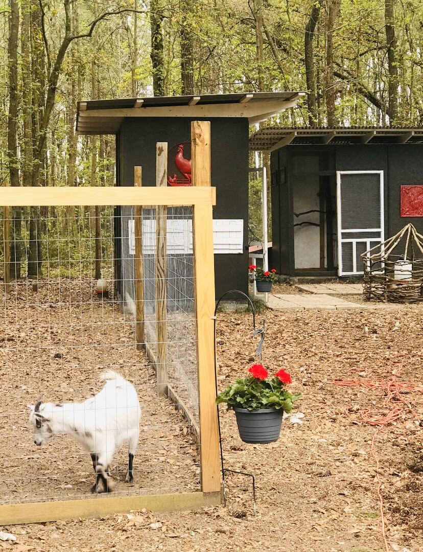 2951 Murraywood Road