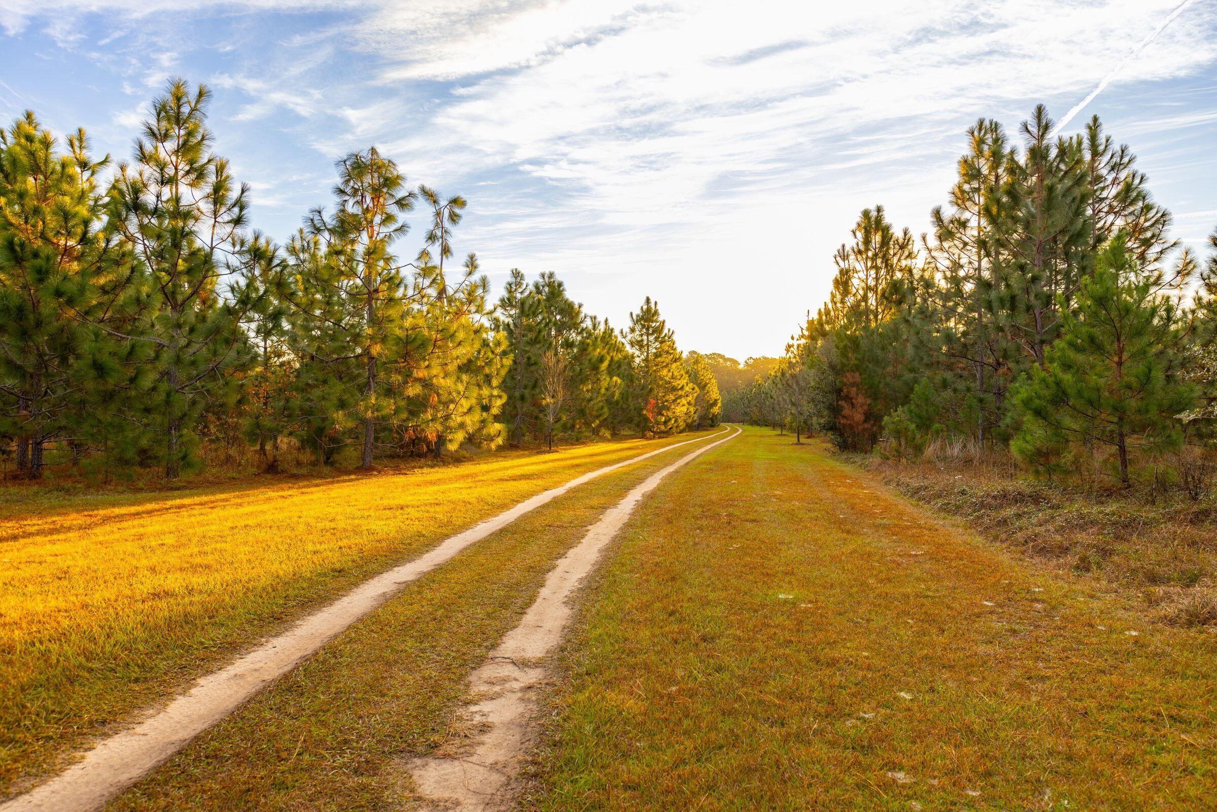 4285 Clover Hill Road