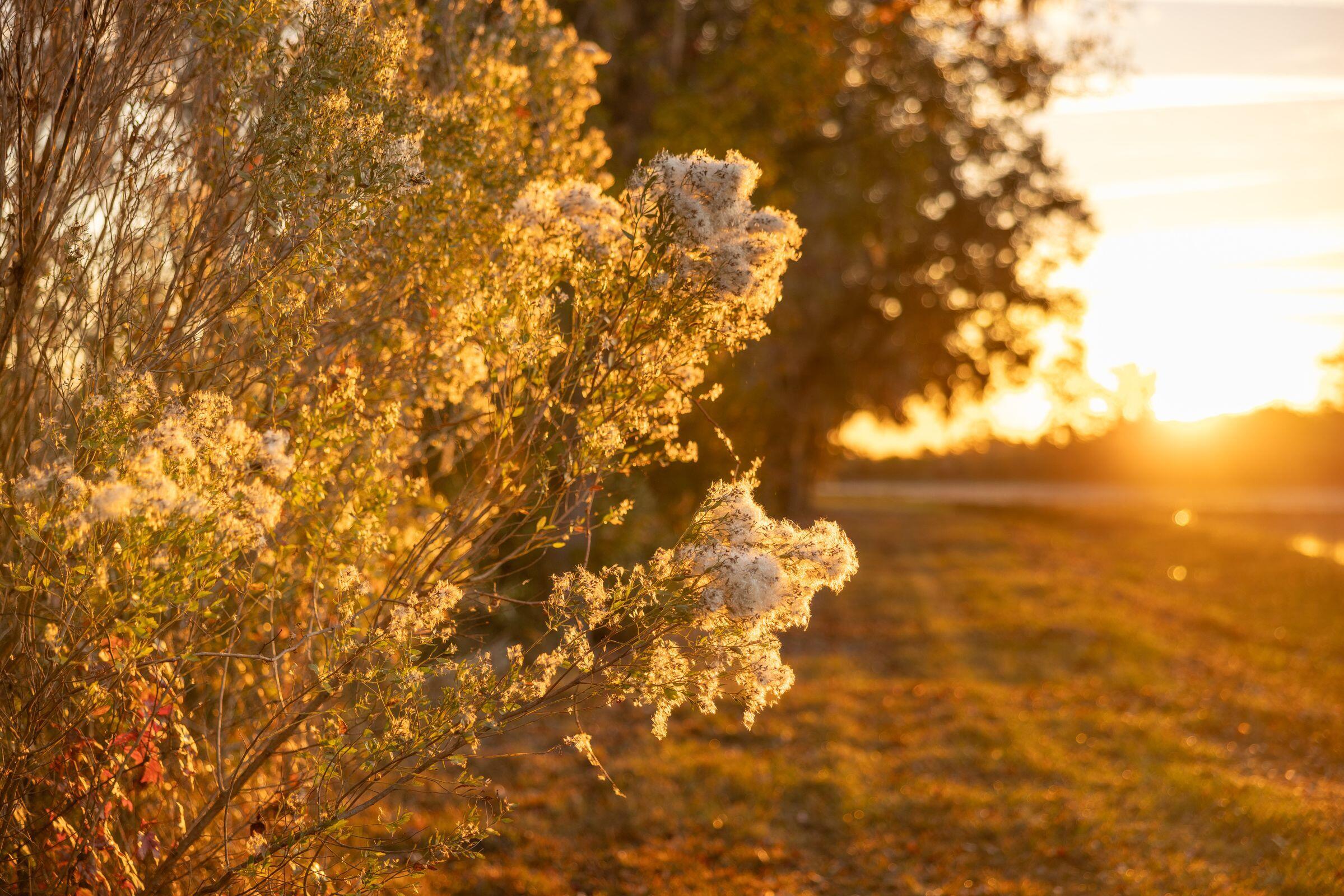 4285 Clover Hill Road