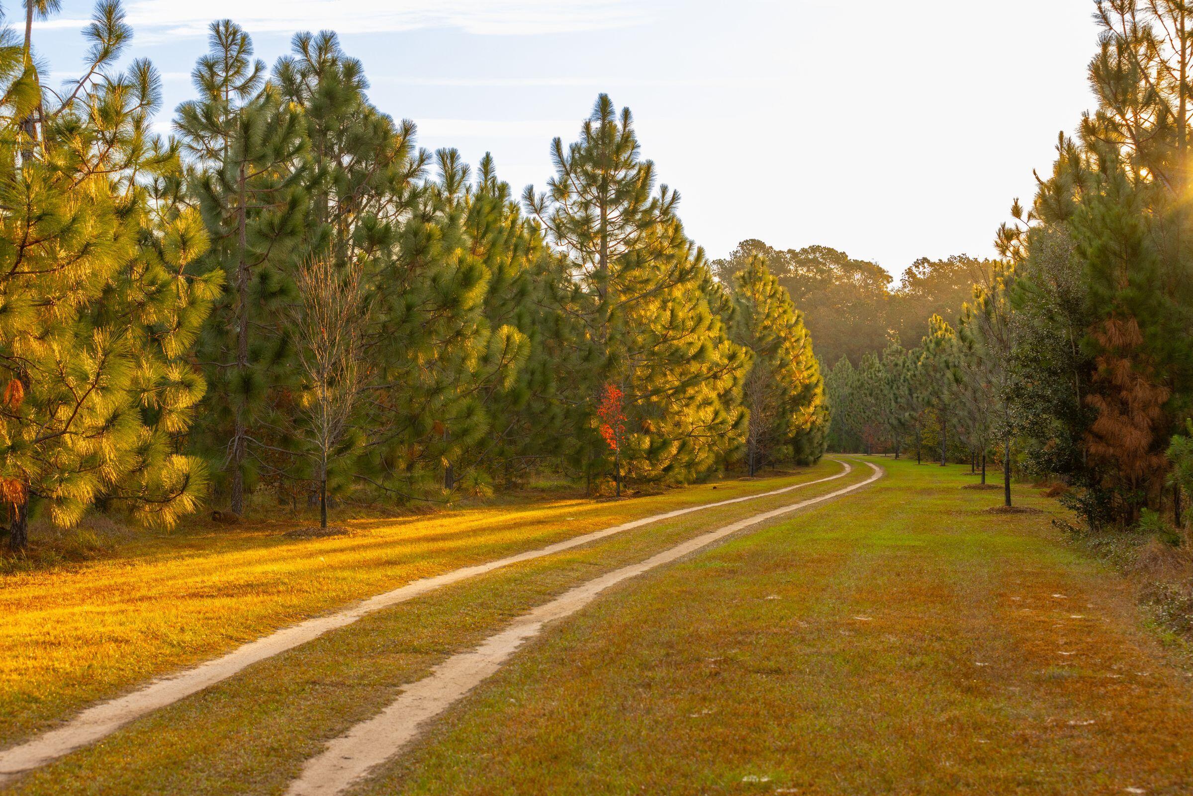 4285 Clover Hill Road