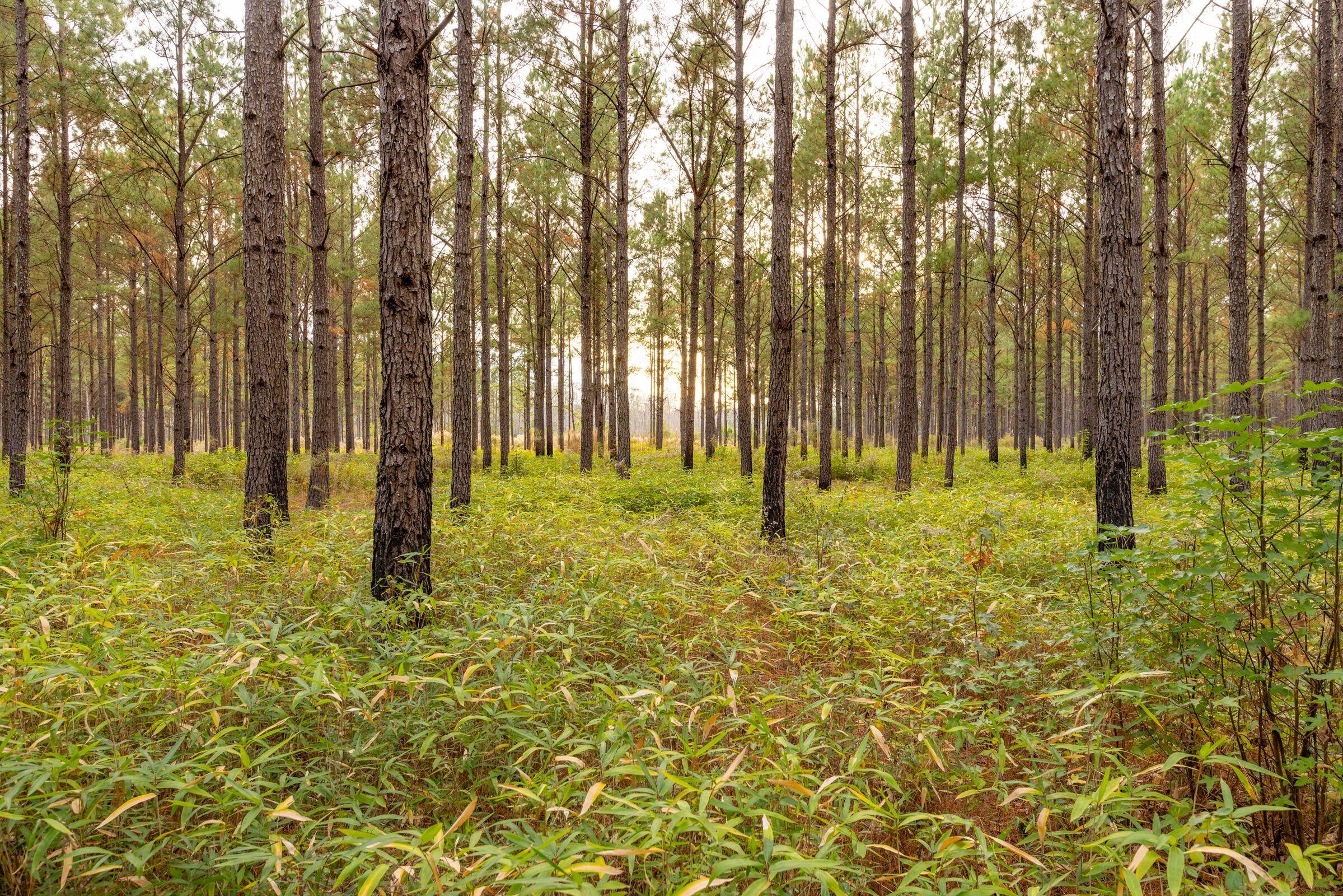 4285 Clover Hill Road