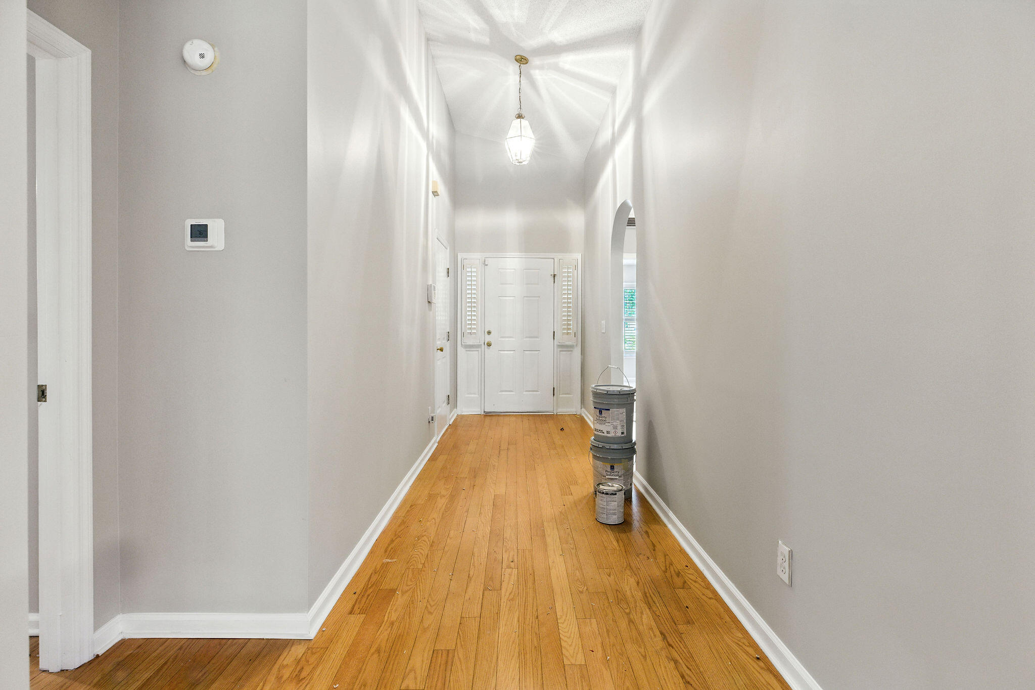 1321 Wild Olive Drive