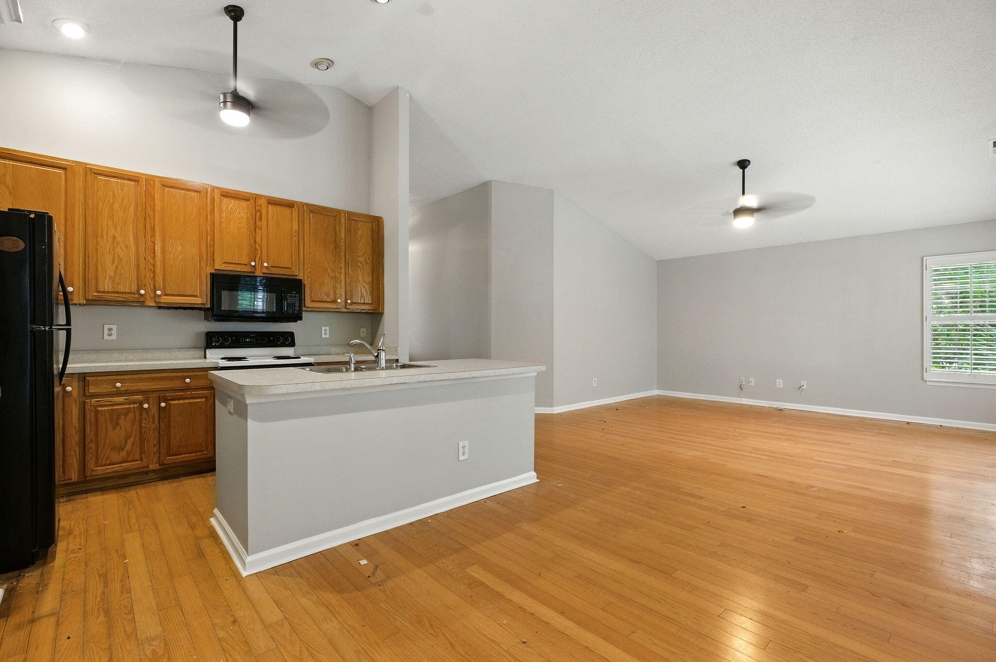 1321 Wild Olive Drive