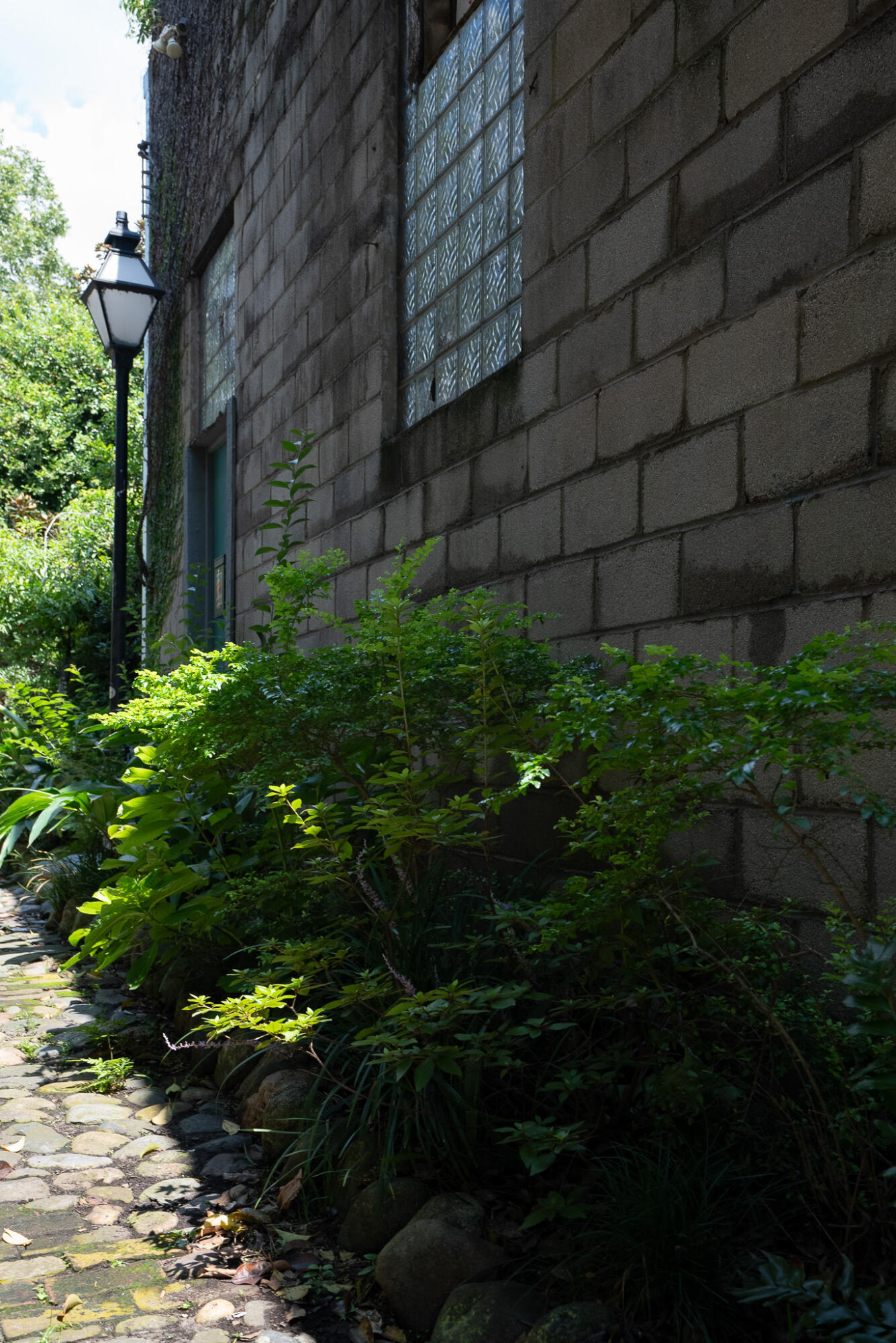 10 Philadelphia Alley Lot C