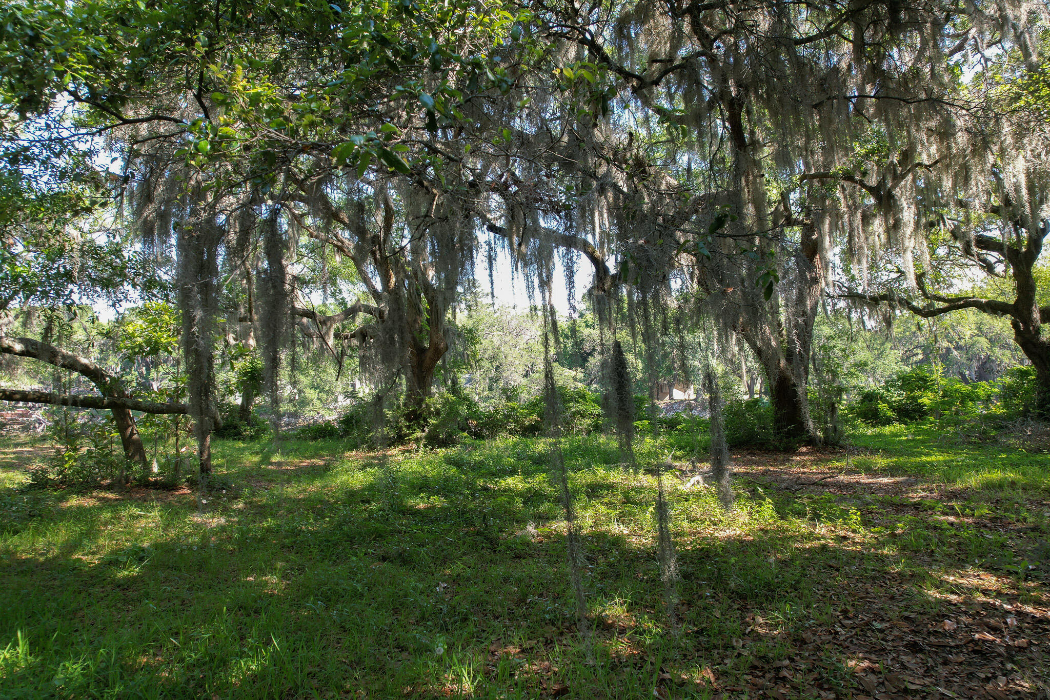 2180 Wappoo Hall Road