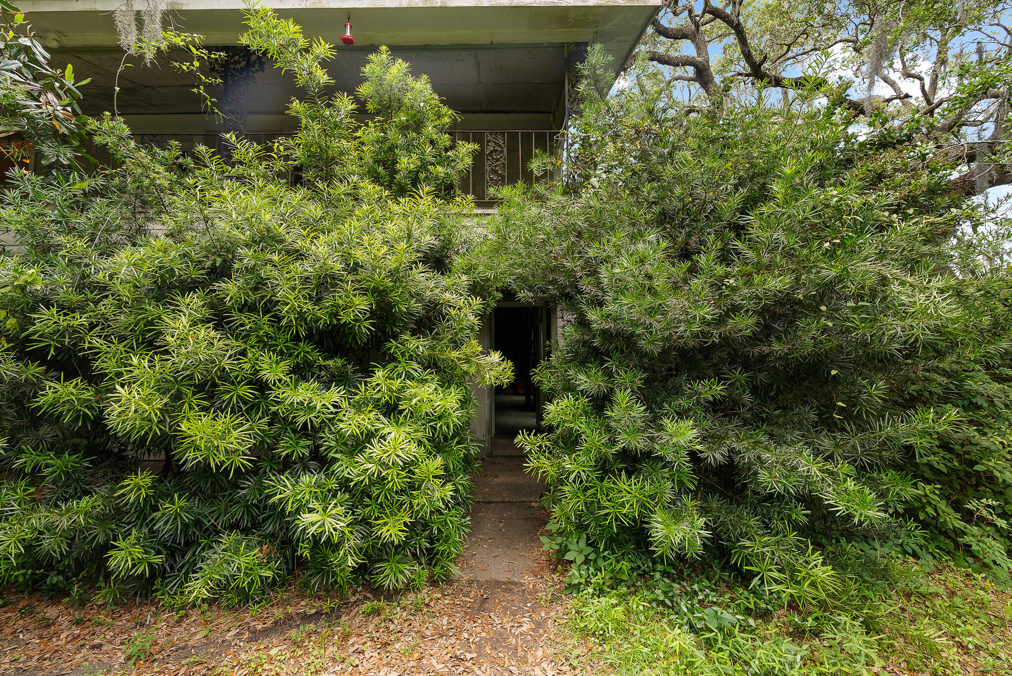 2180 Wappoo Hall Road