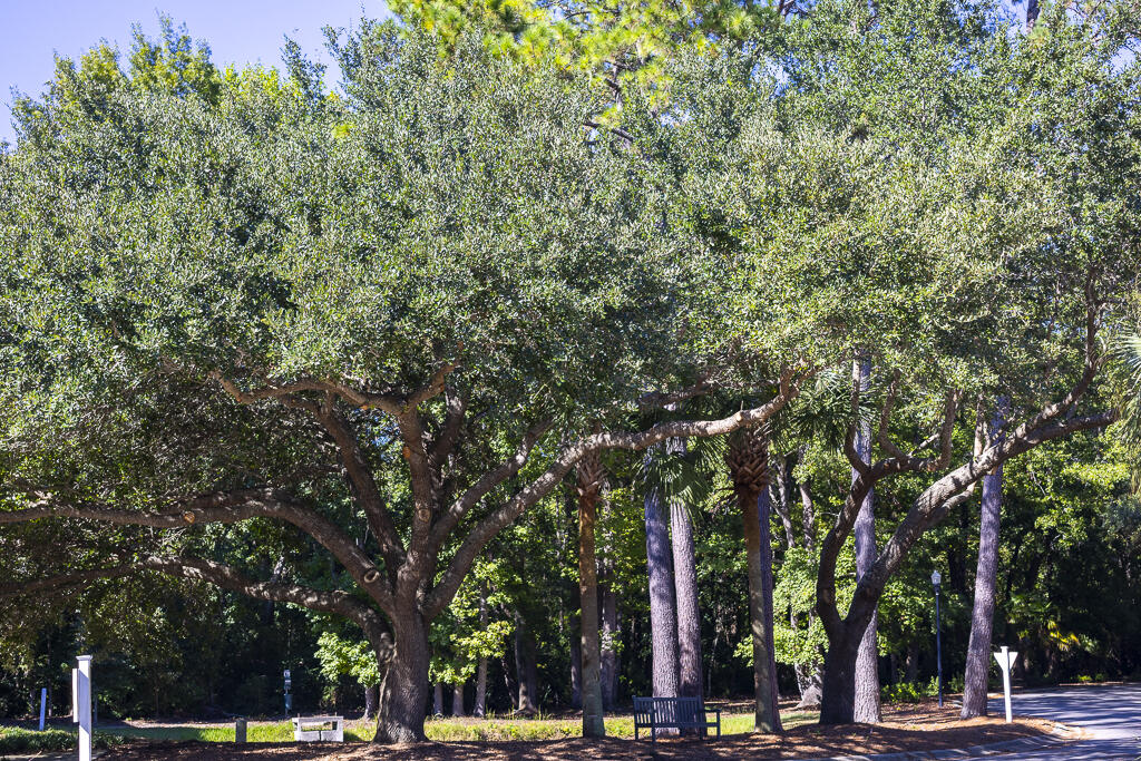 1025 Riverland Woods Place # 423