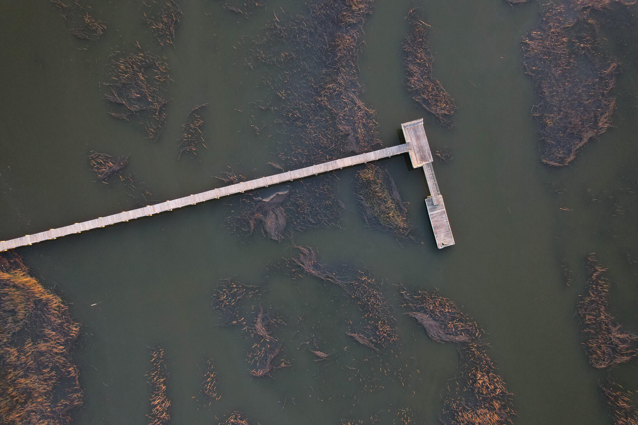 6042 Pawlett Blake Lane