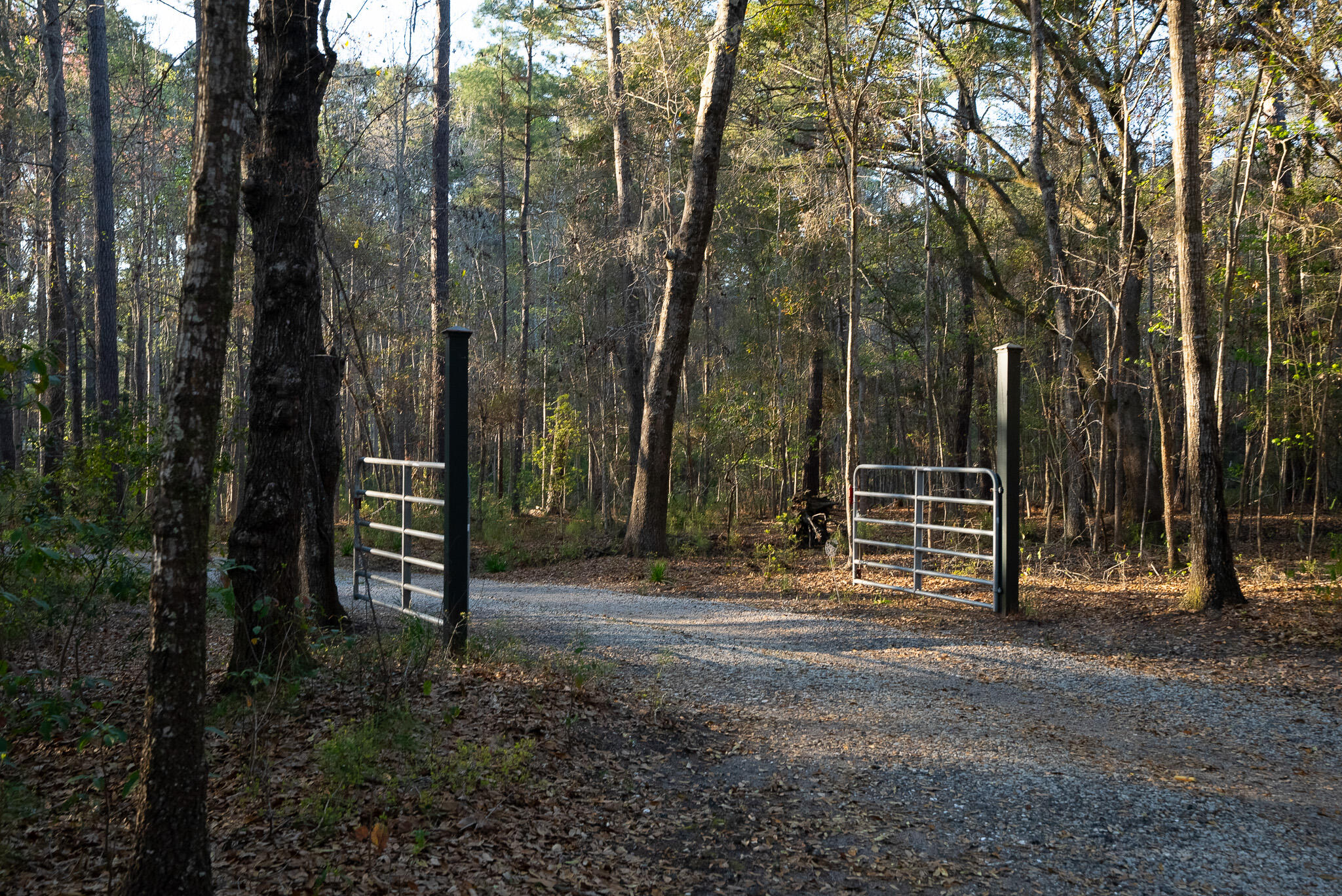 6042 Pawlett Blake Lane