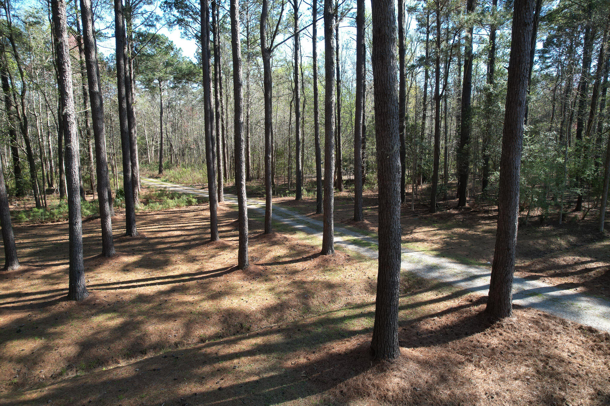 6042 Pawlett Blake Lane