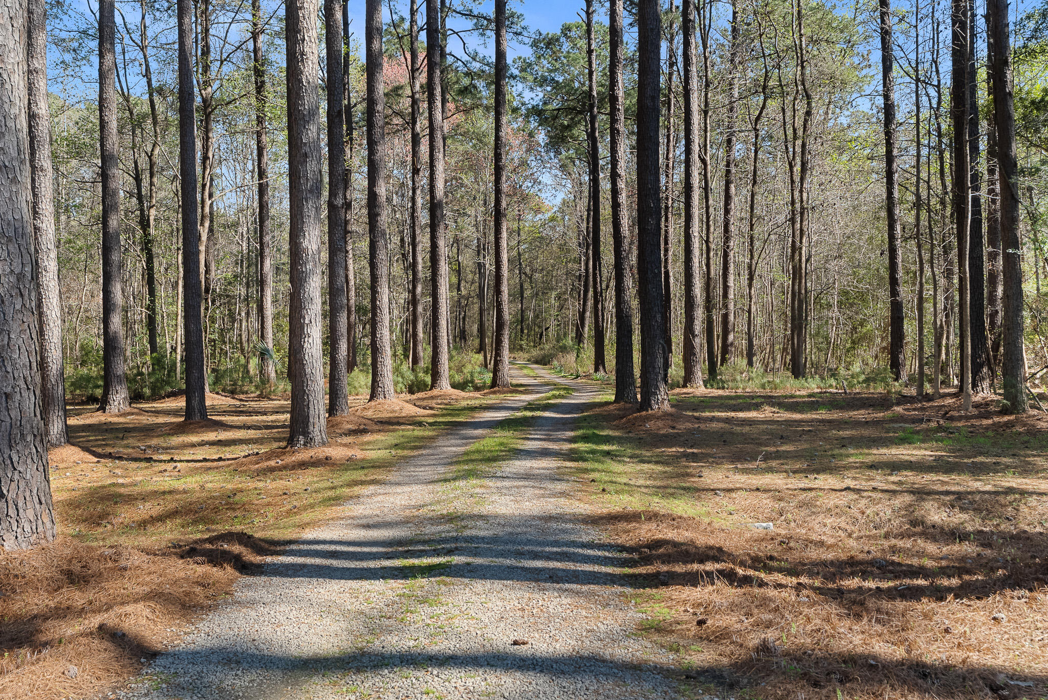 6042 Pawlett Blake Lane