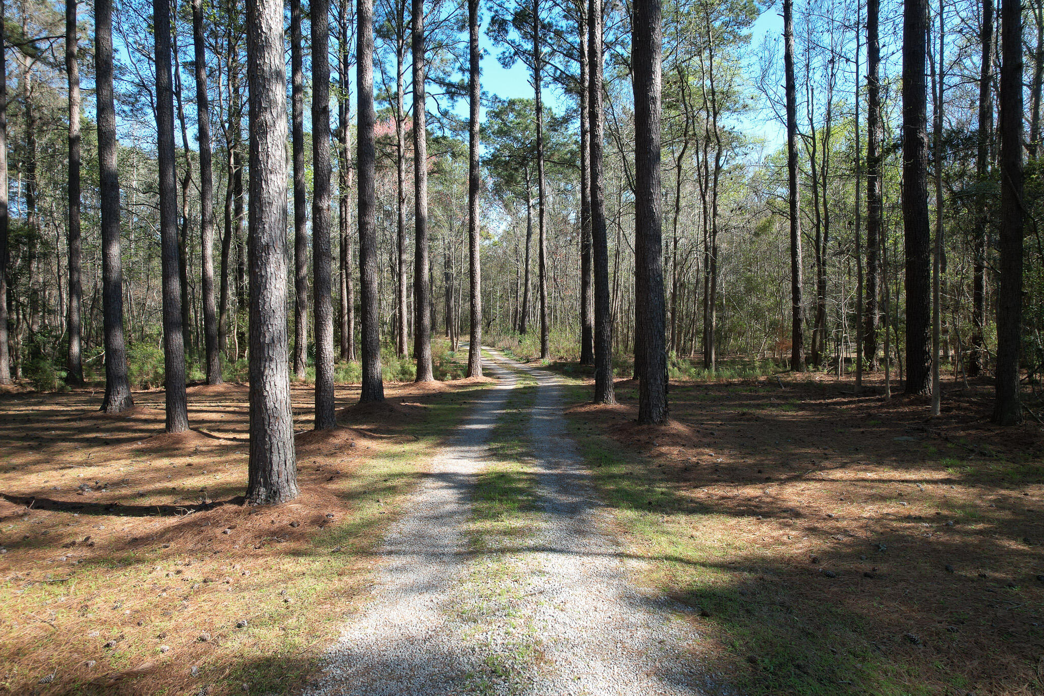 6042 Pawlett Blake Lane