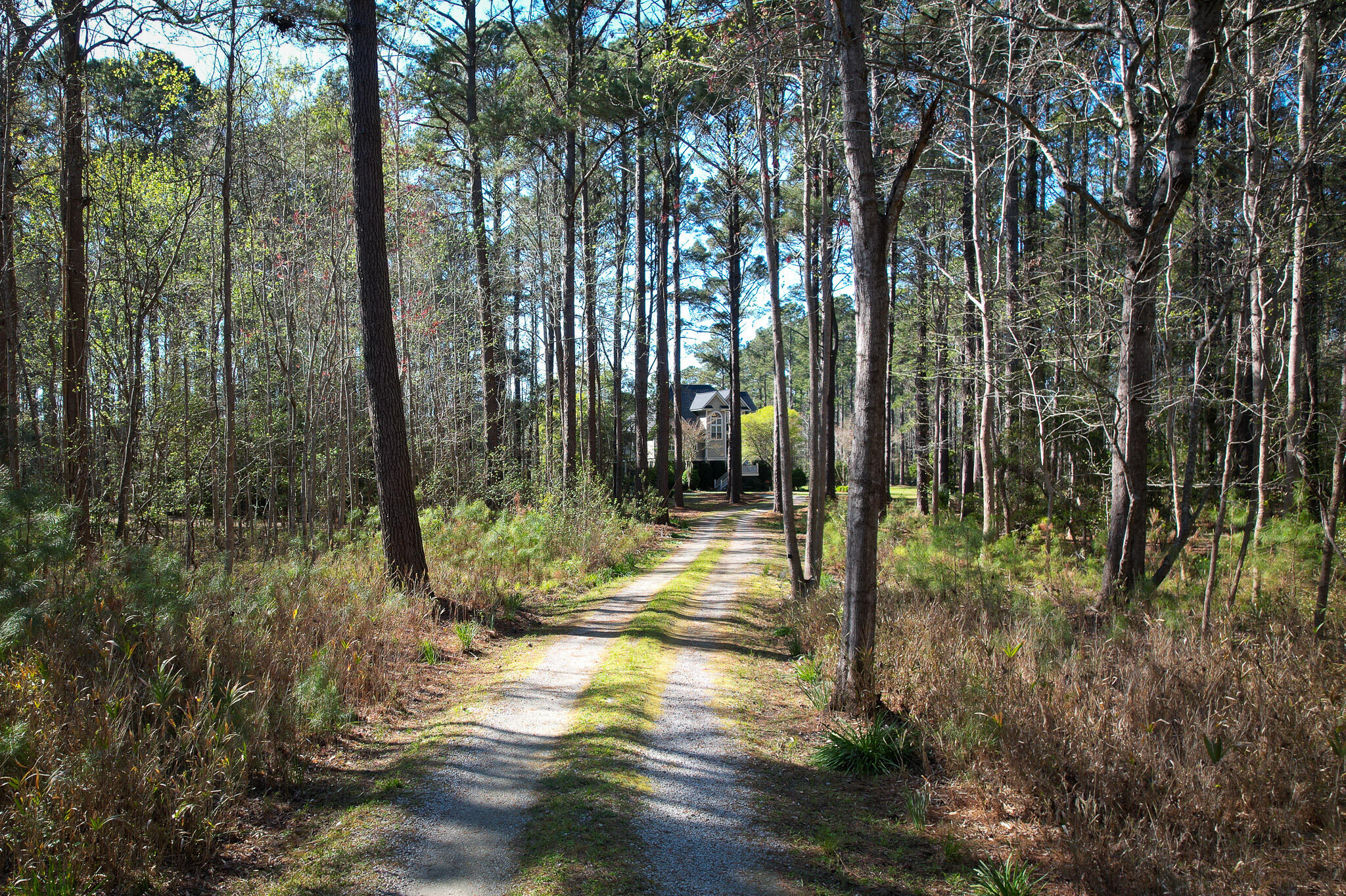 6042 Pawlett Blake Lane