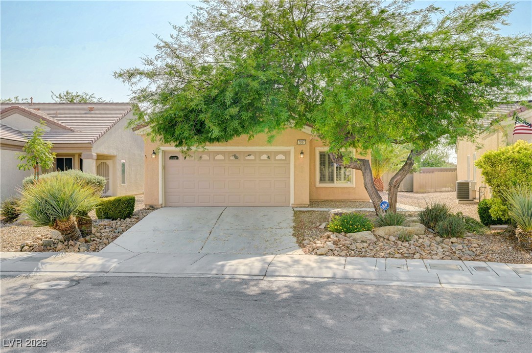 7937 Lily Trotter Street