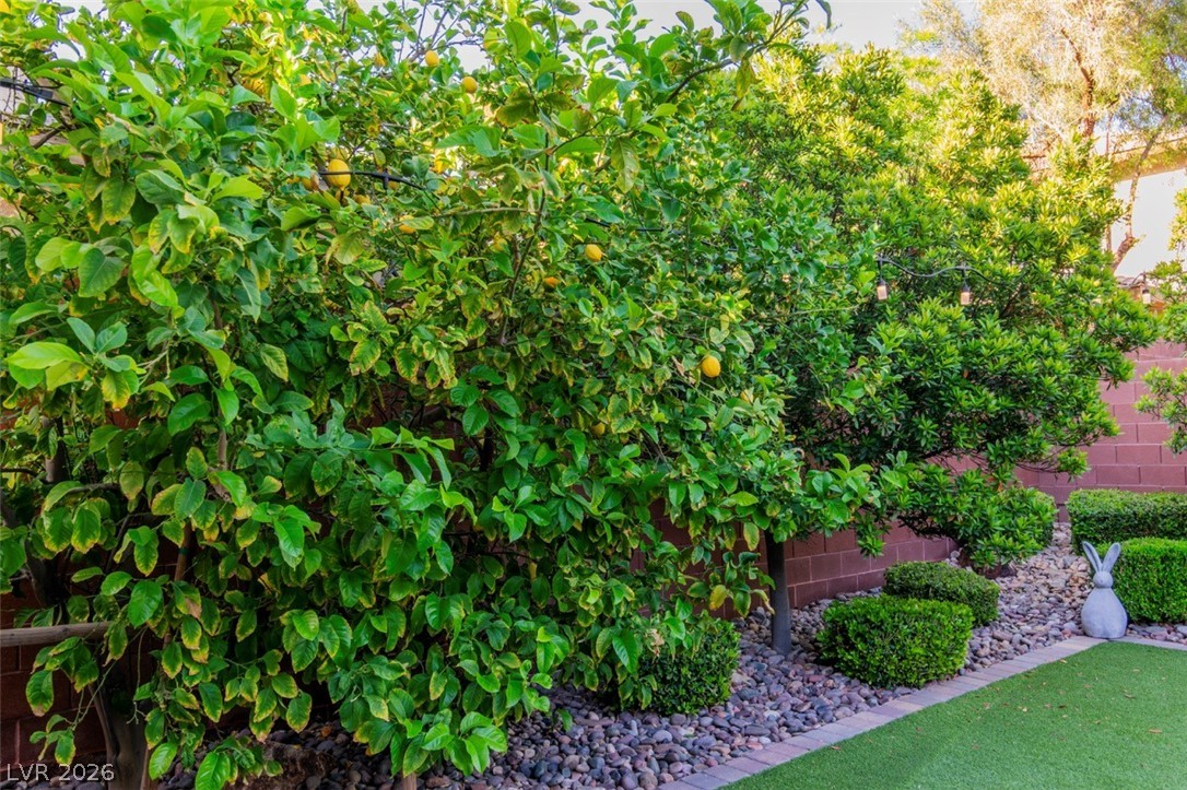 5528 Bellmead Court