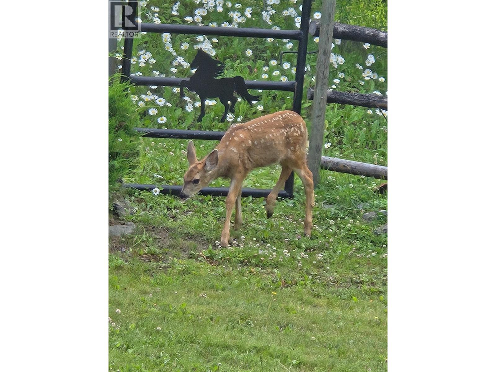 7671 RUTHERFORD ROAD