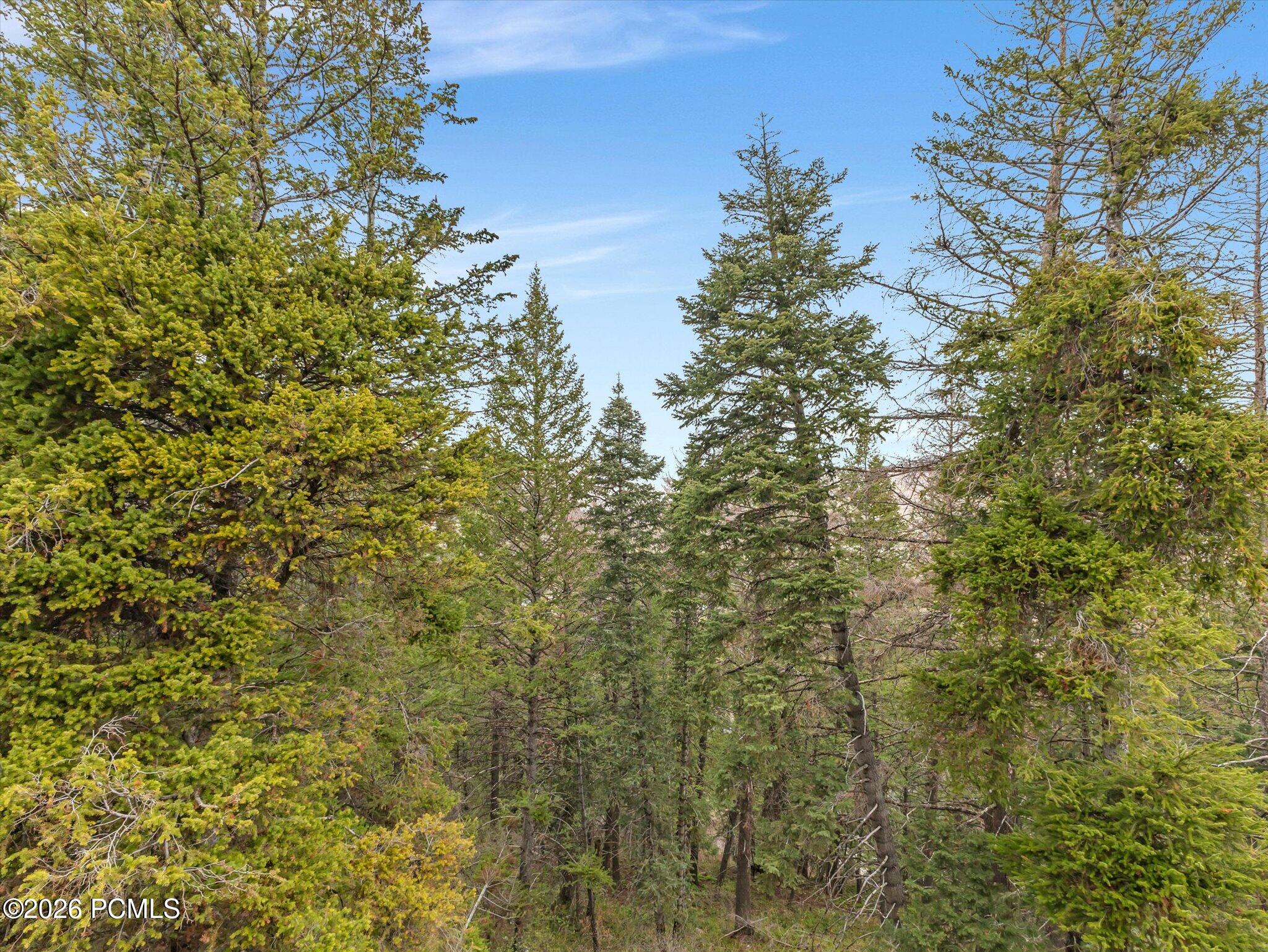 390 Matterhorn Drive