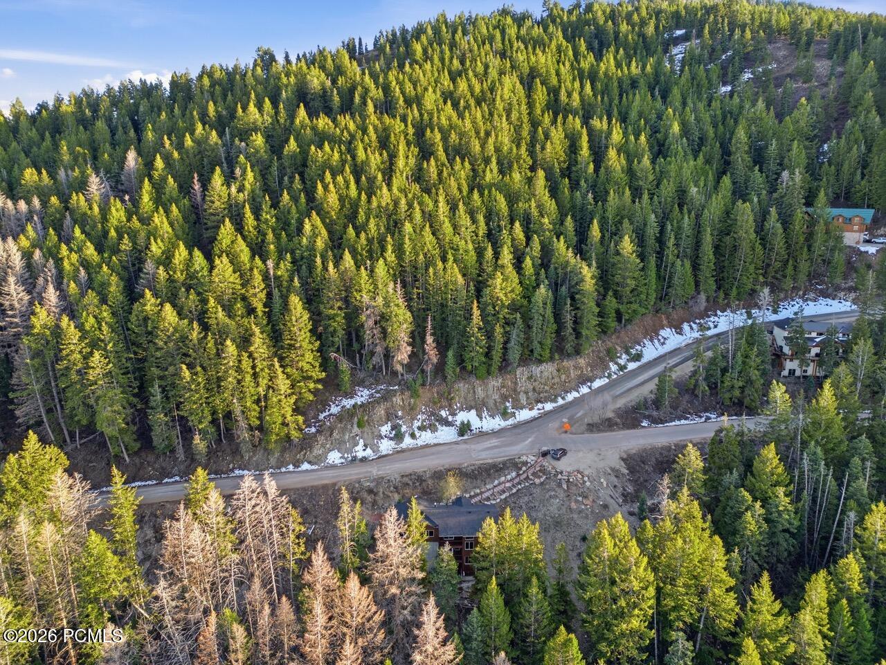 Aerial view of a wooded hillside and curving road with scattered snow and nearby homes.