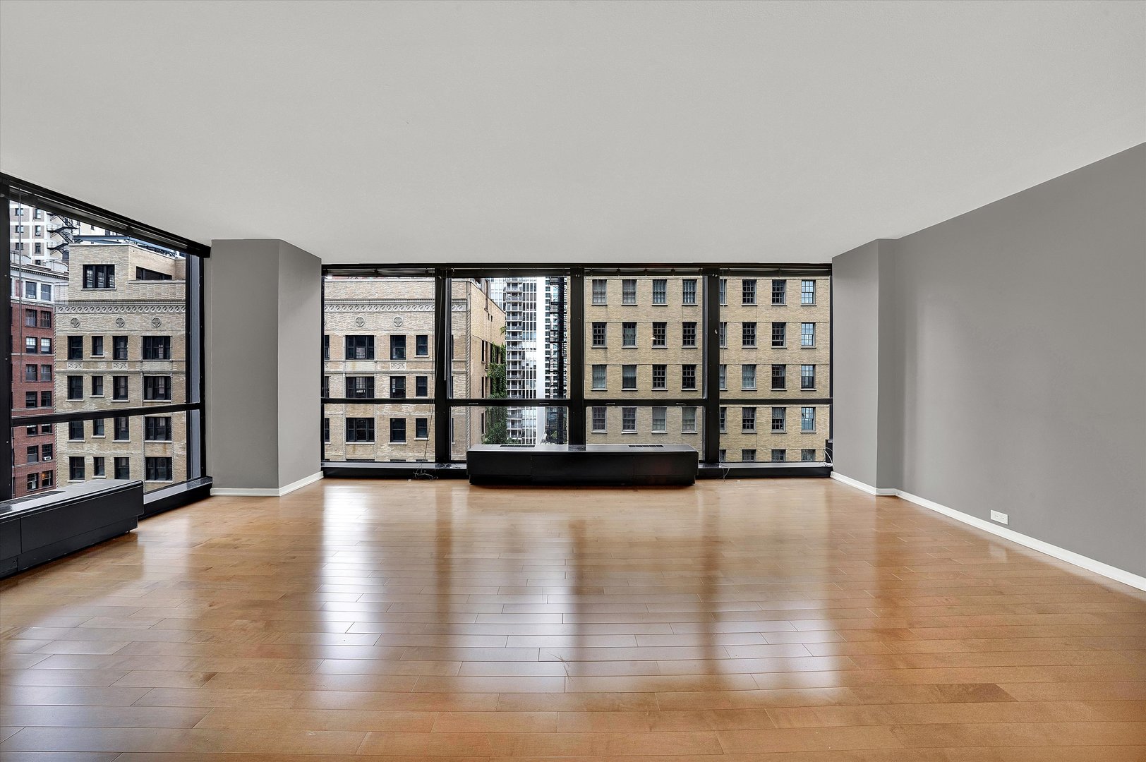 910 N Lake Shore Drive Unit: 1016