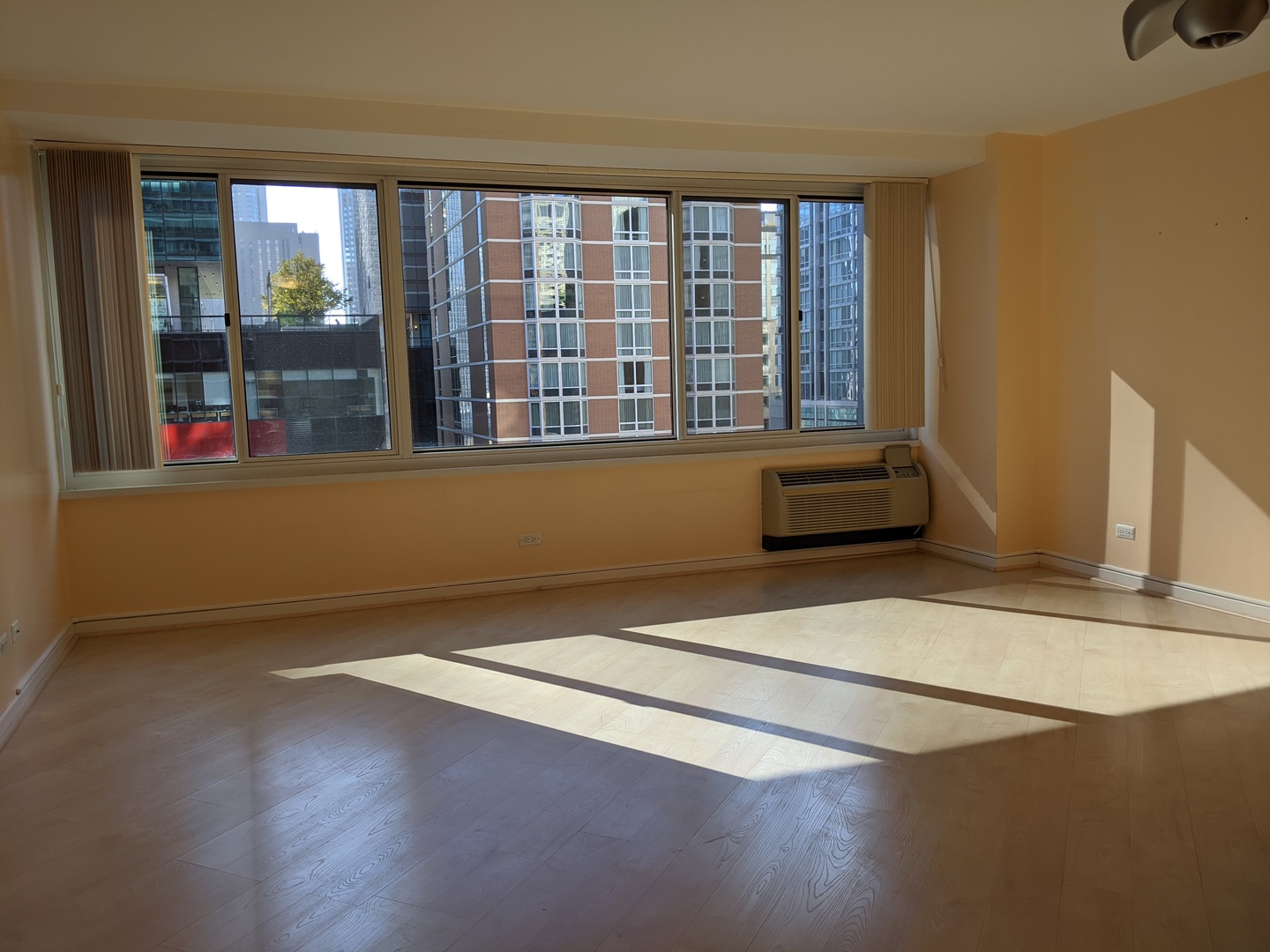 211 E Ohio Street Unit: 1213