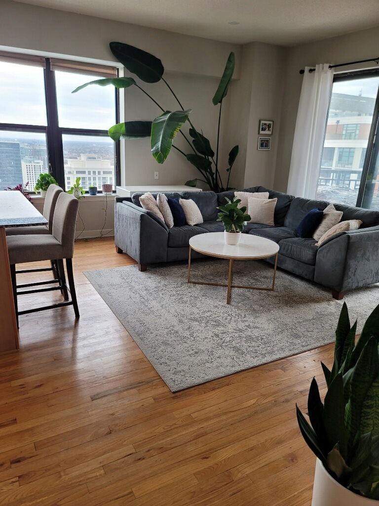 41 E 8th Street Unit: 3004