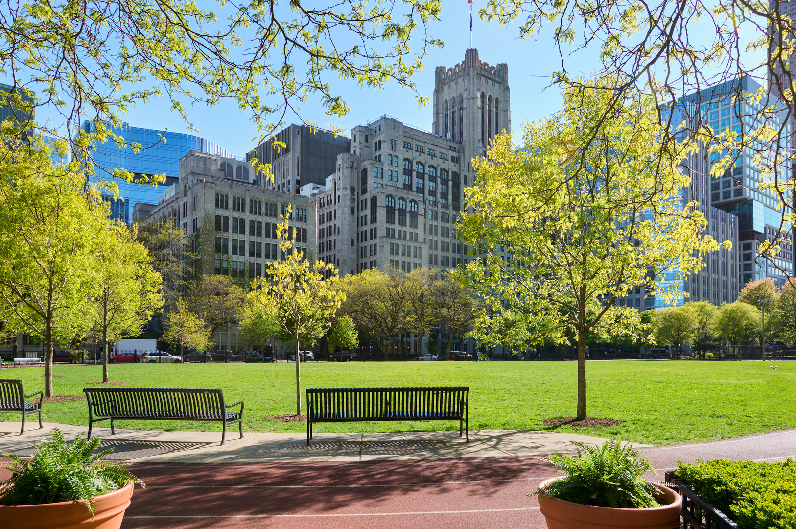 910 N Lake Shore Drive Unit: 1016