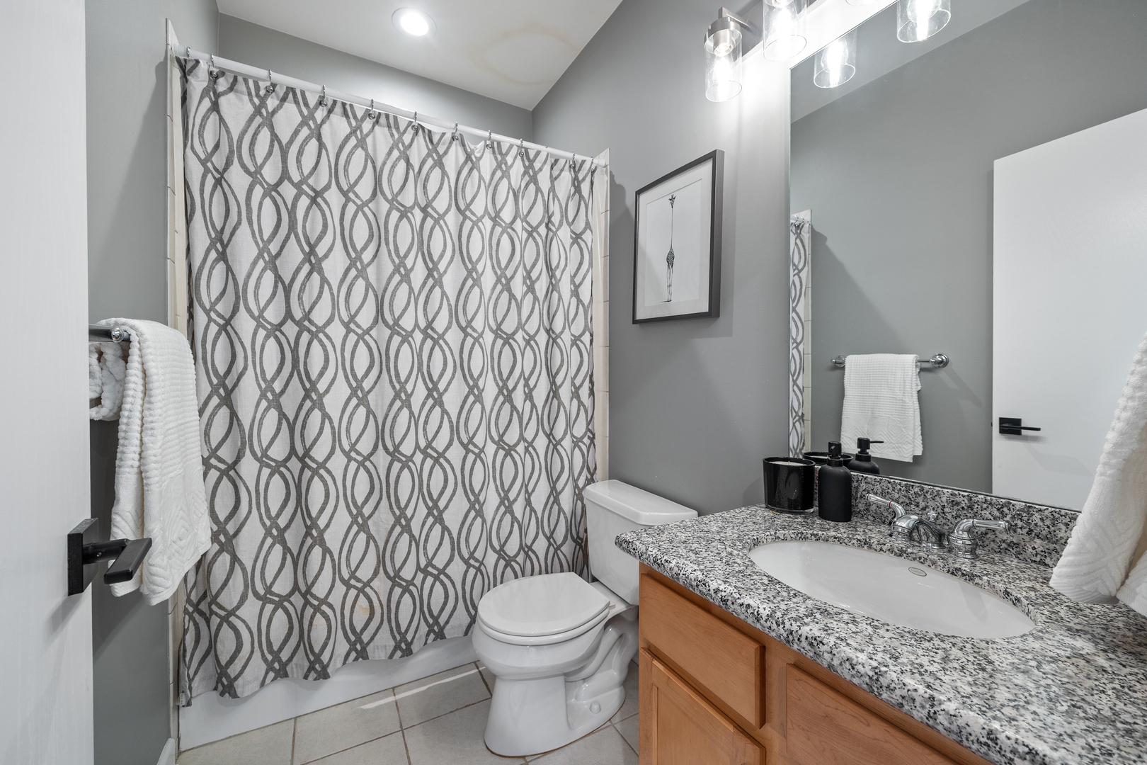 1740 W BELMONT Avenue Unit: 1R
