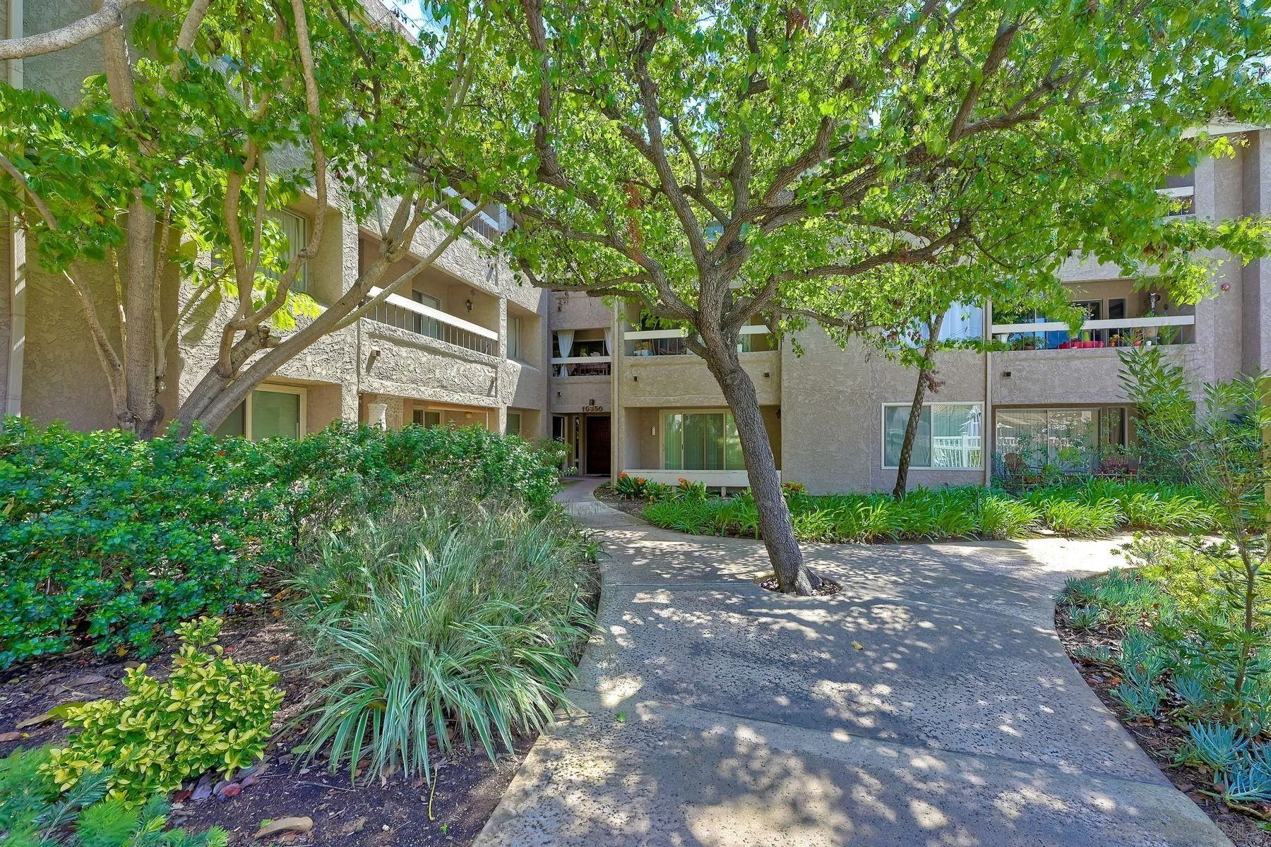 10325 Caminito Cuervo Unit 204