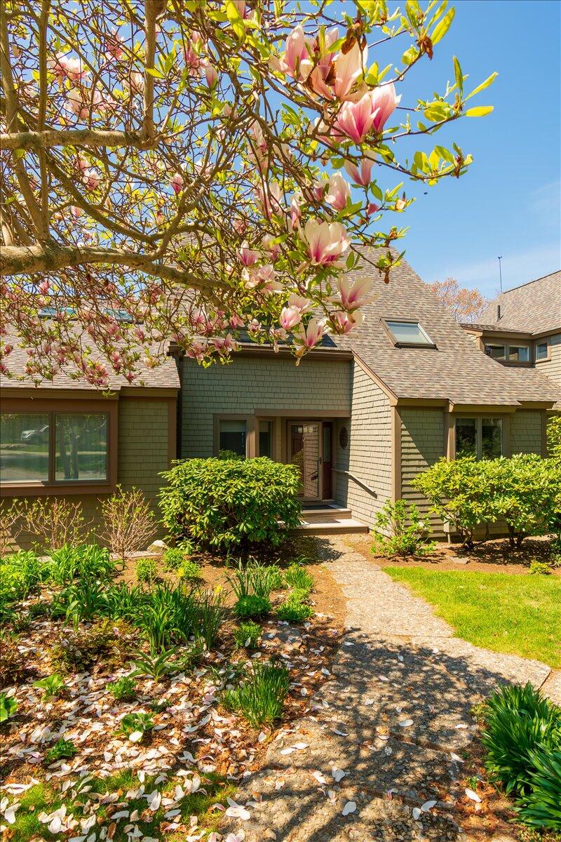 33 Jameson Point Road, 4
