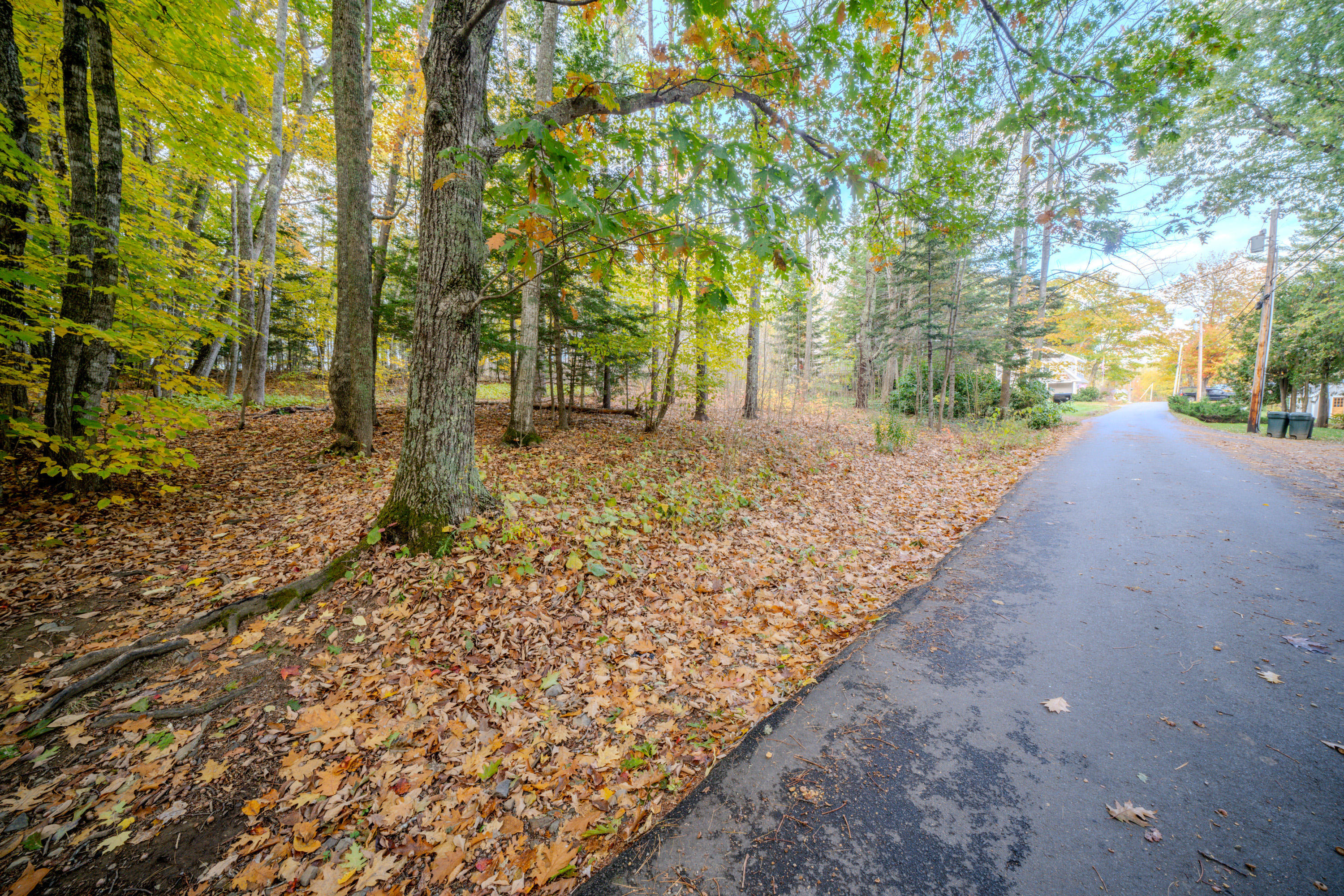43 Norton Pond Road