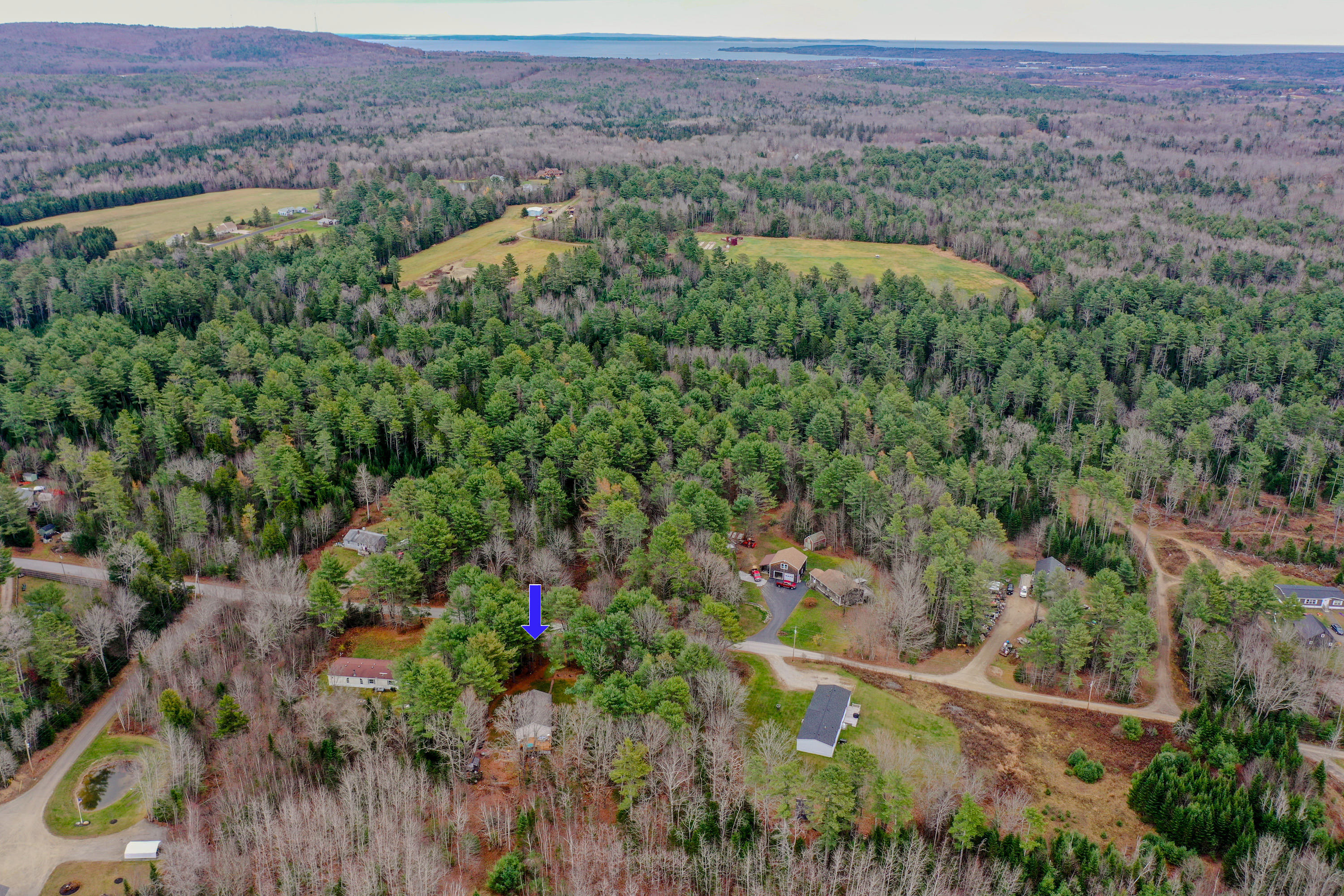 149 Forest Road