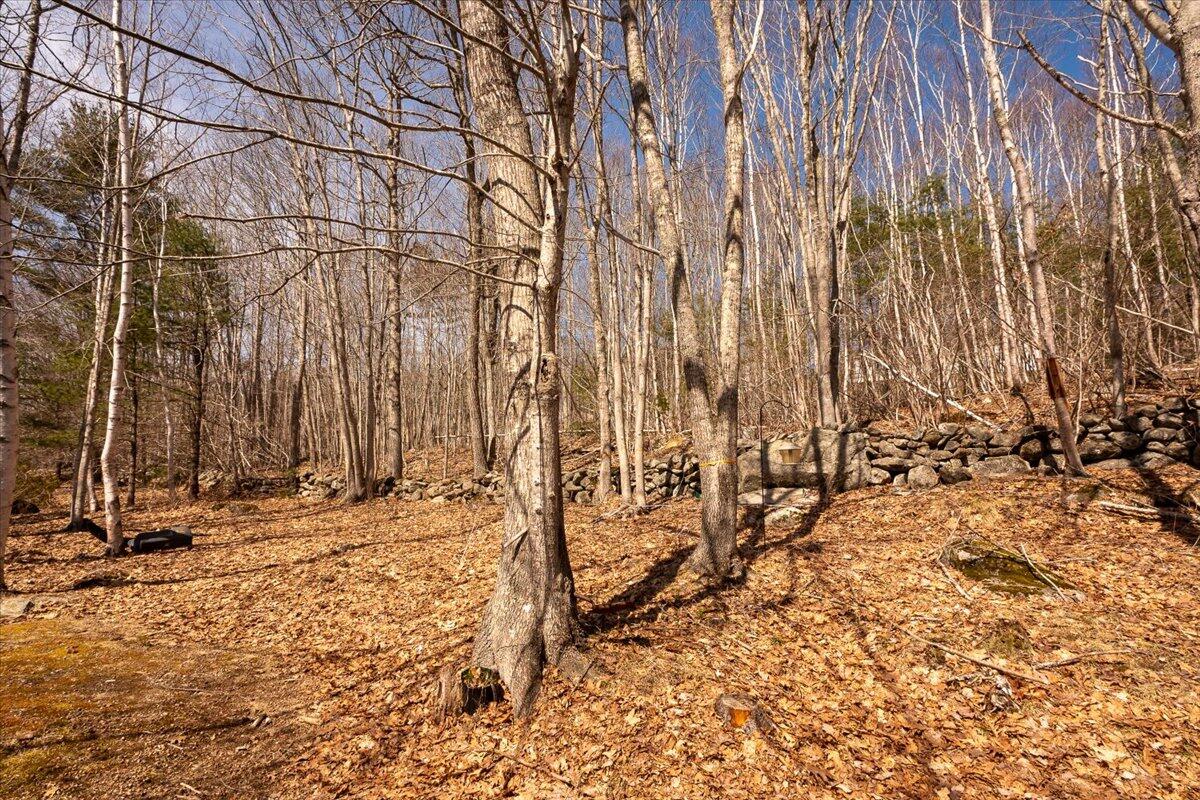 65 Stoneybrook Lane