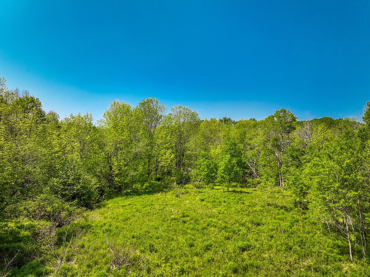 0 Branch Brook Road