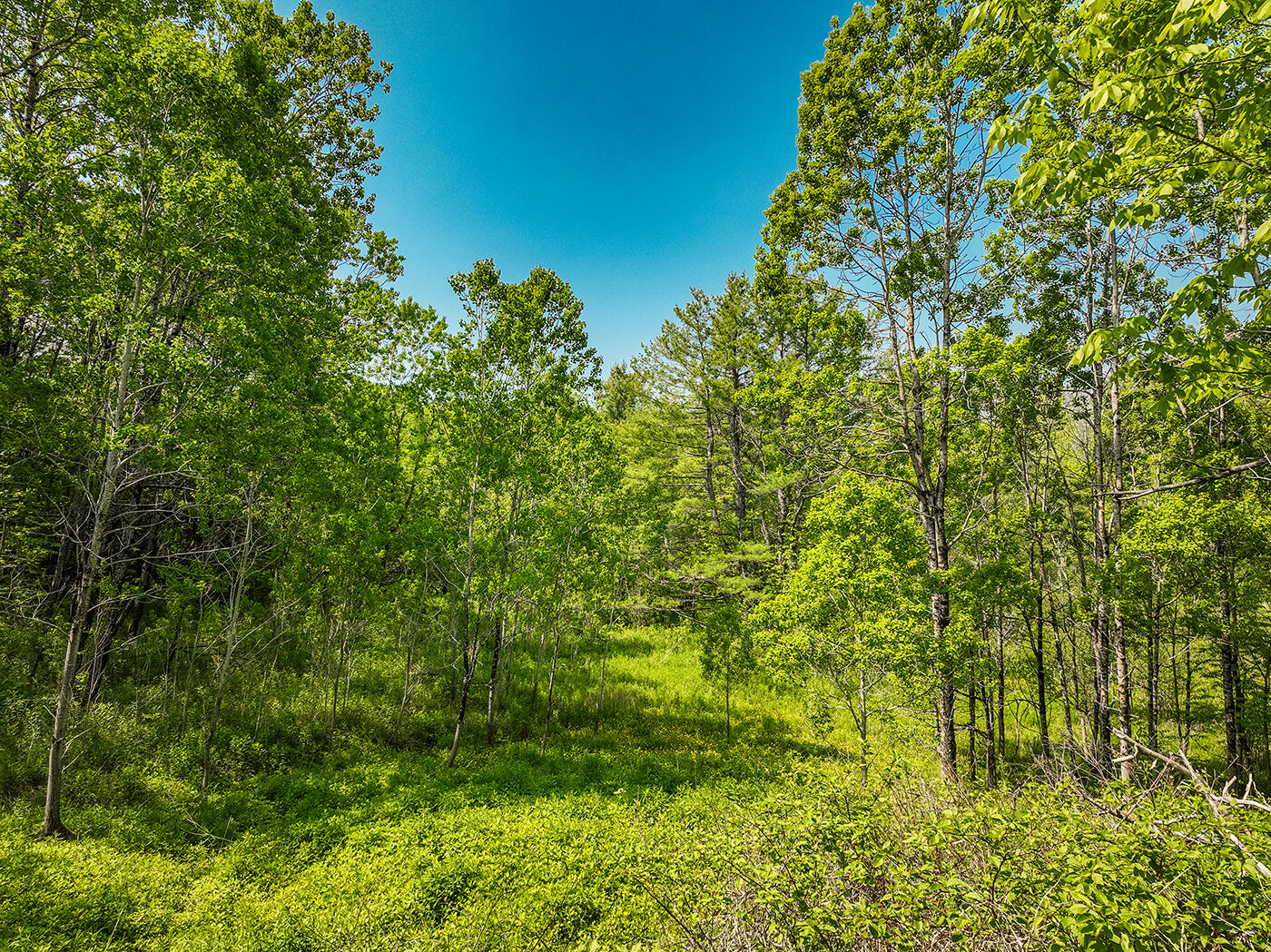 0 Branch Brook Road