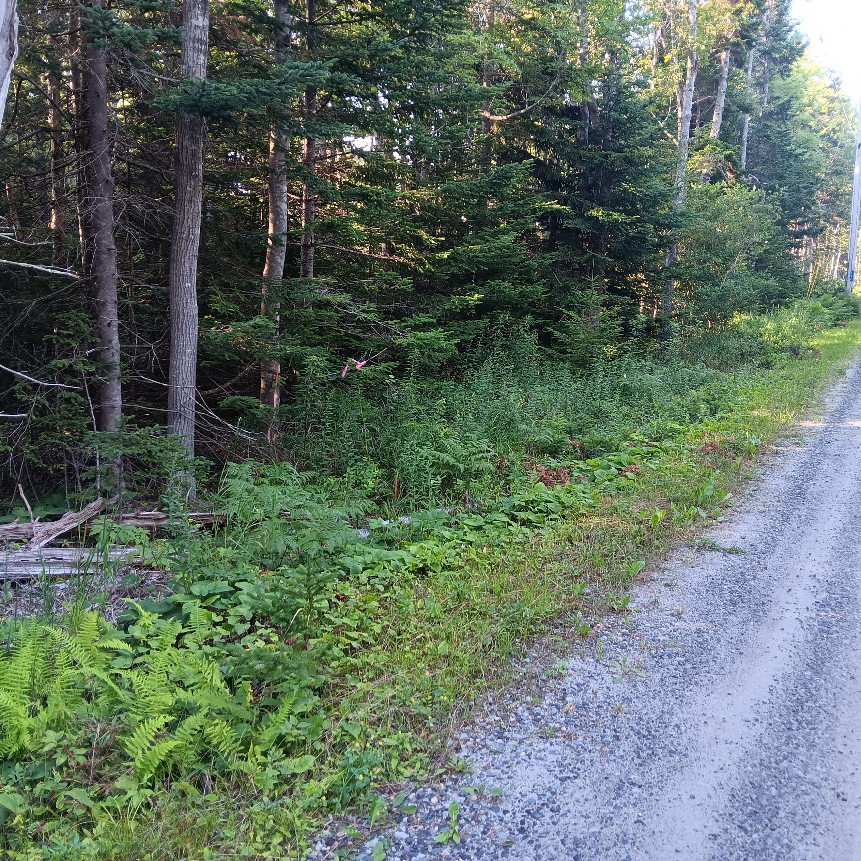 1B Old Mill Road