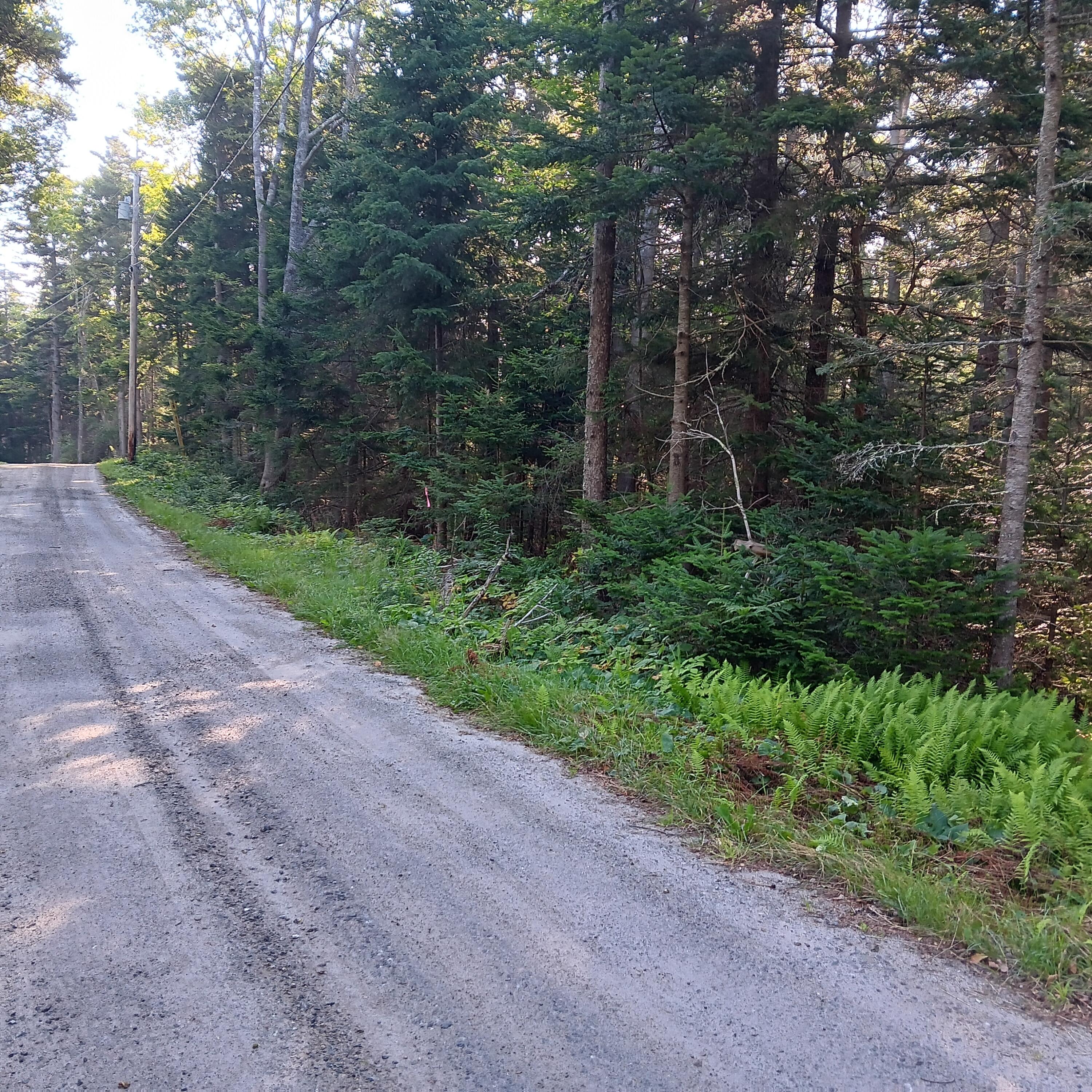 1B Old Mill Road