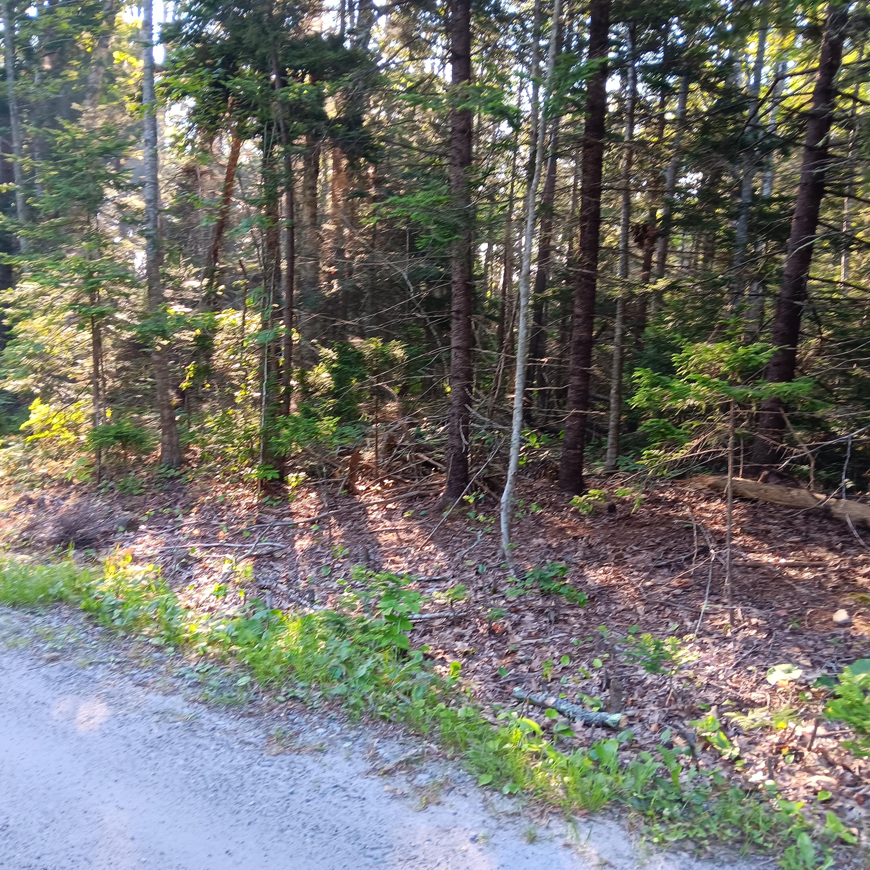 1B Old Mill Road