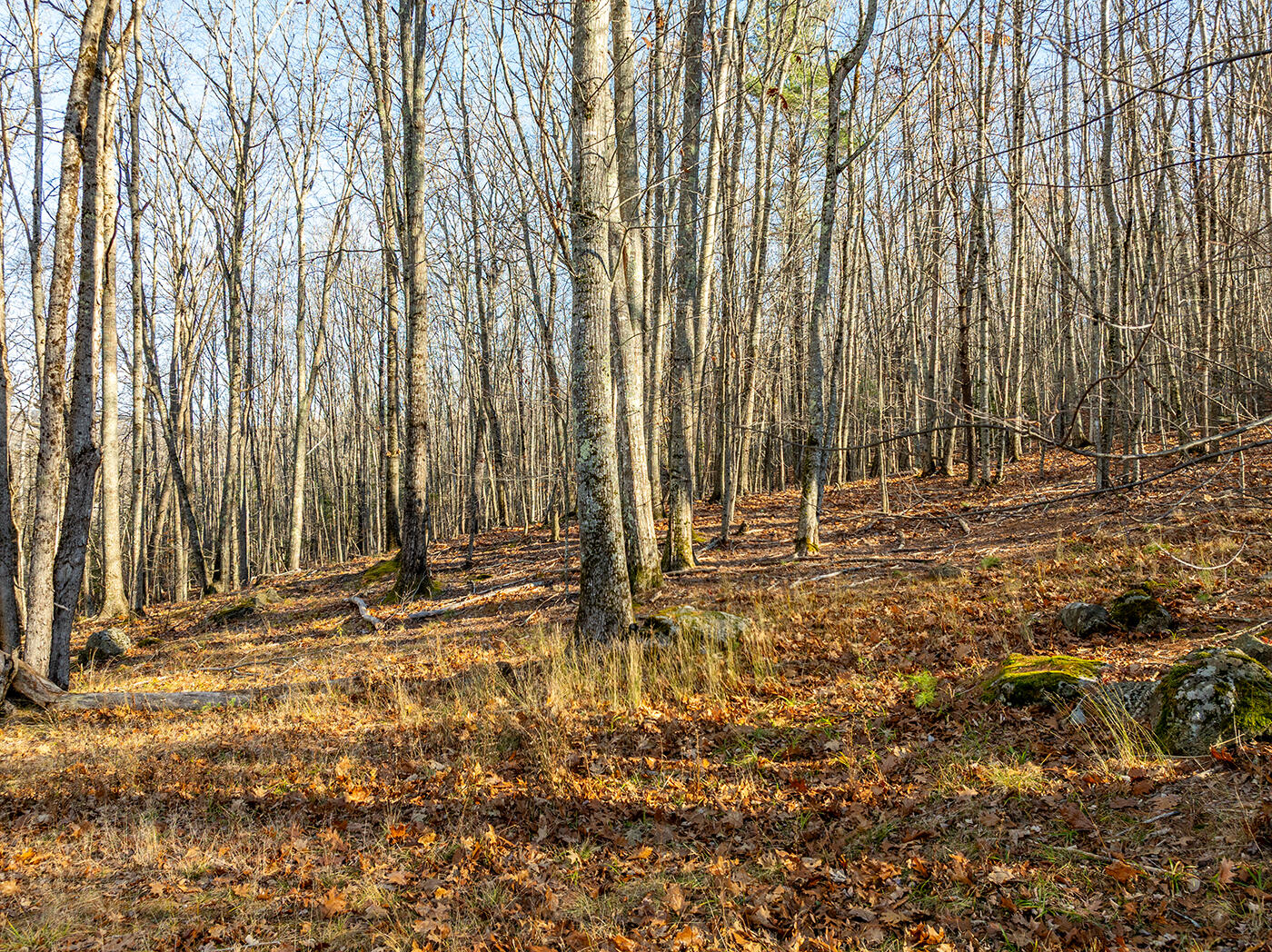 6 Gosse's Hill Road