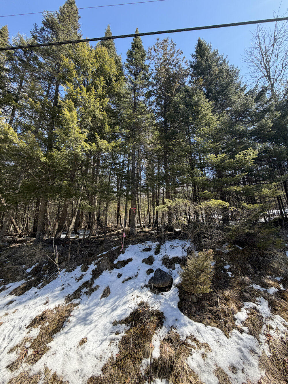259 Page Hill Road