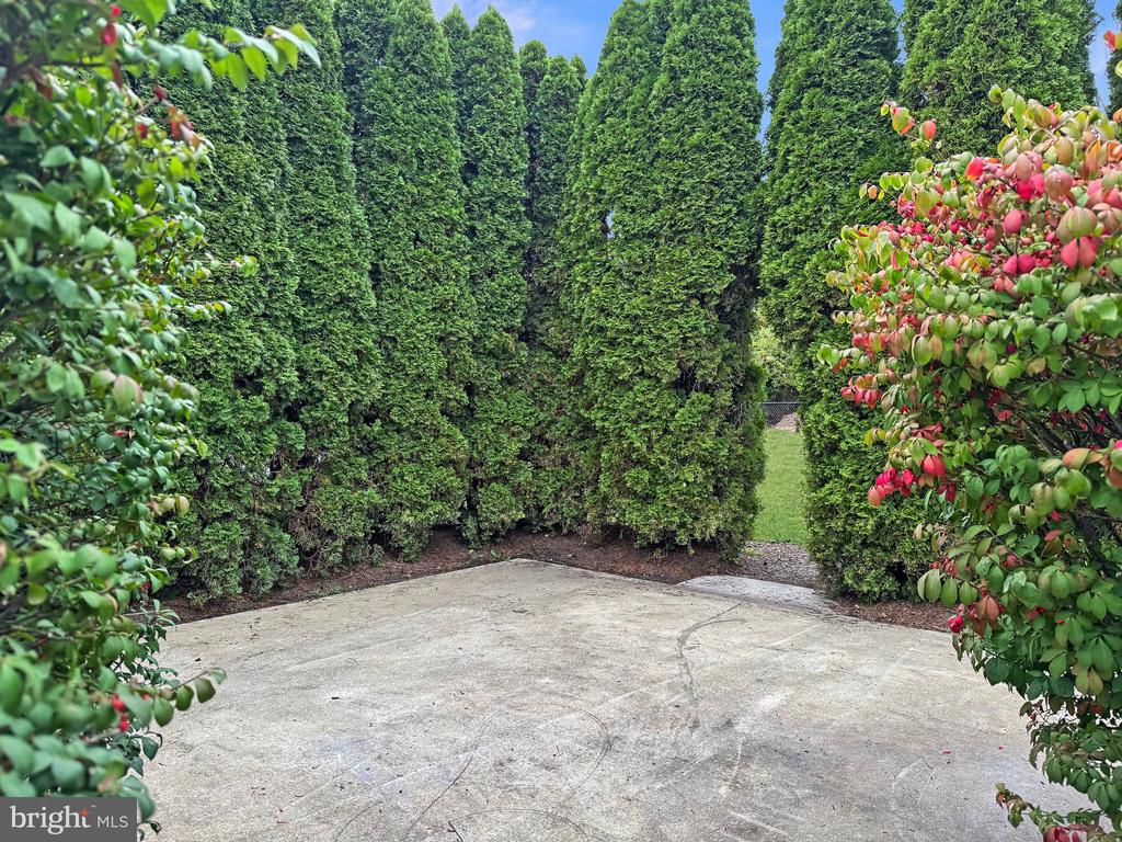 1463 LOTUS DRIVE