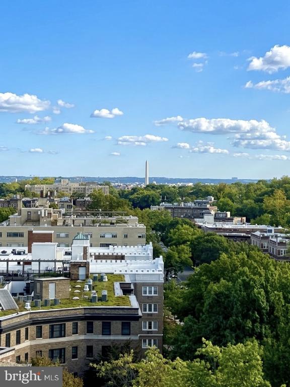 Washington, D.C. skyline with the Washington Monument rising above treetops and nearby buildings.