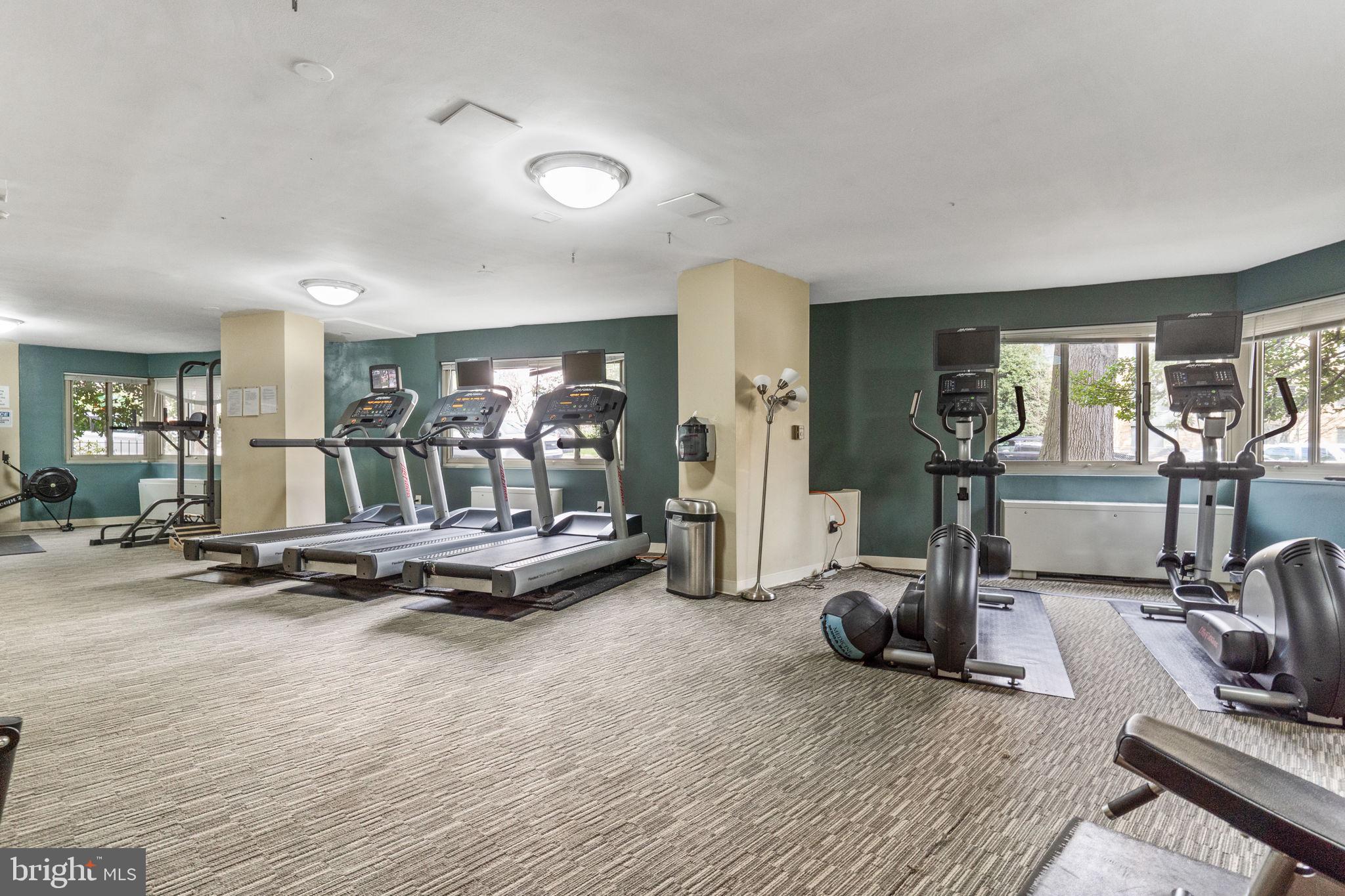 4600 Connecticut Ave NW #231