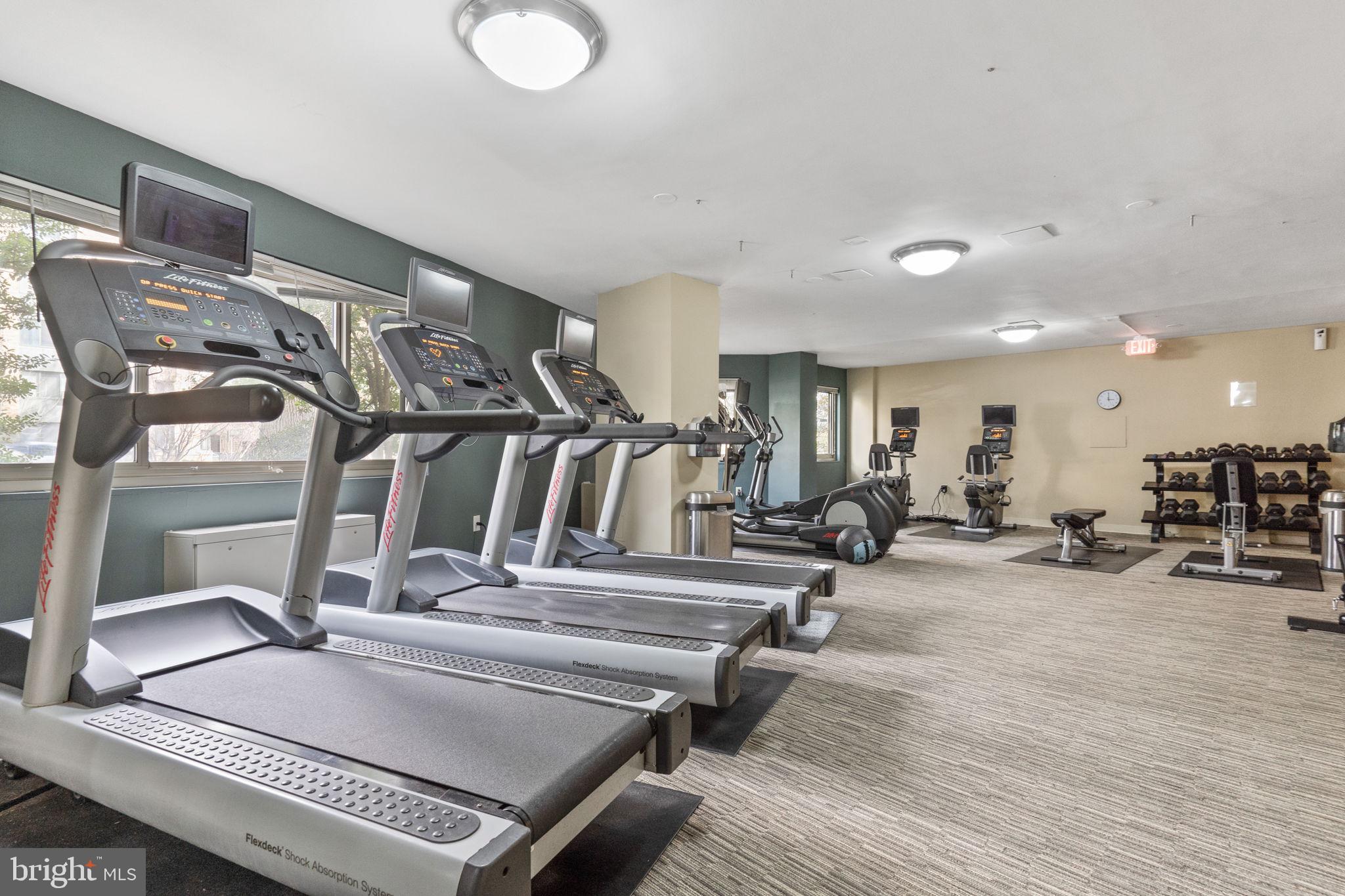 4600 Connecticut Ave NW #231