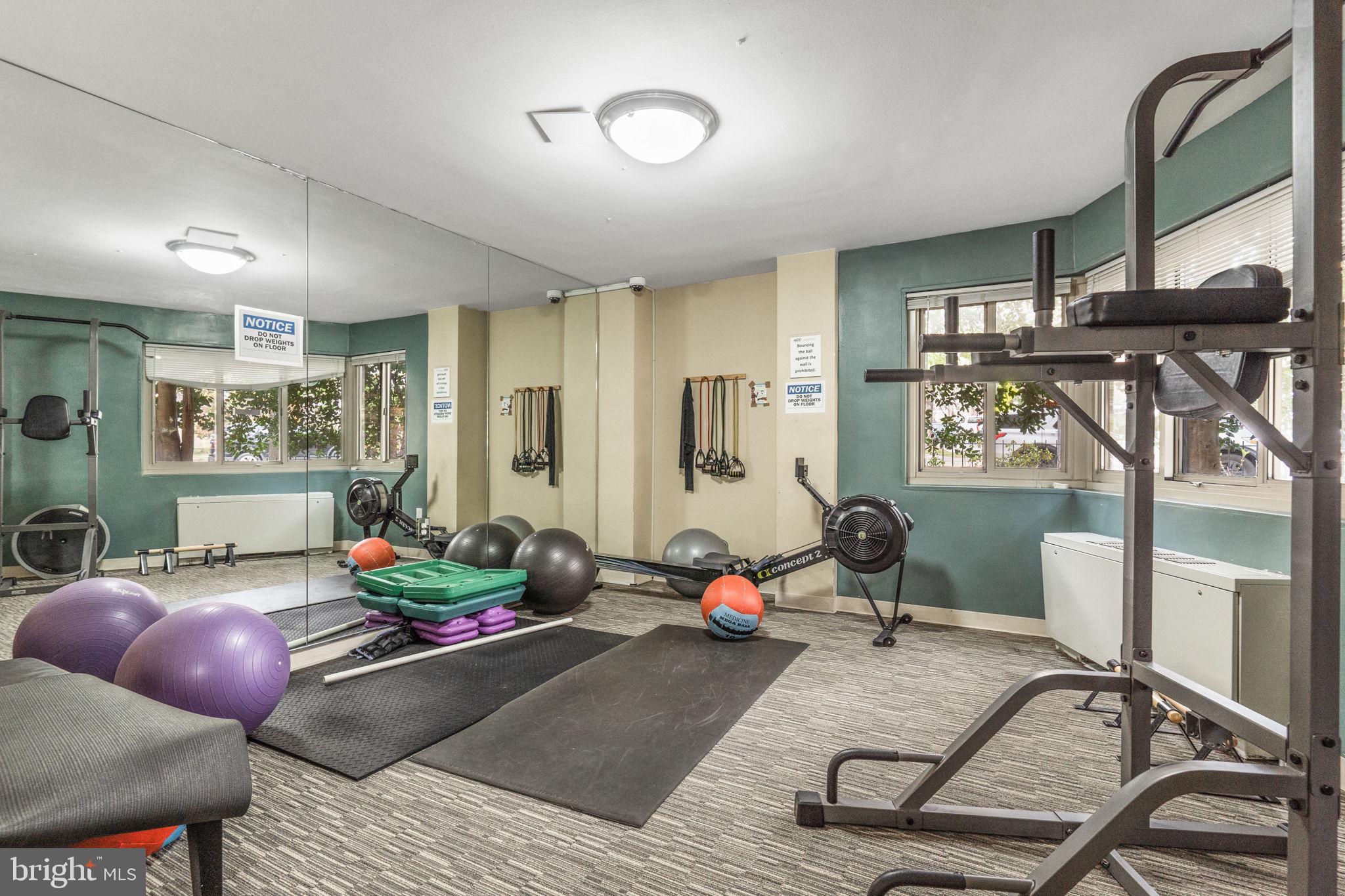 4600 Connecticut Ave NW #231