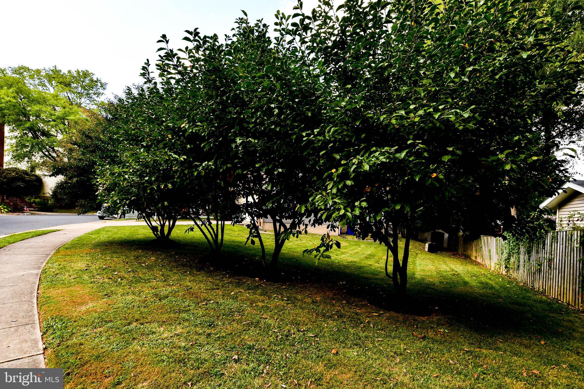 1909 Westchester DRIVE