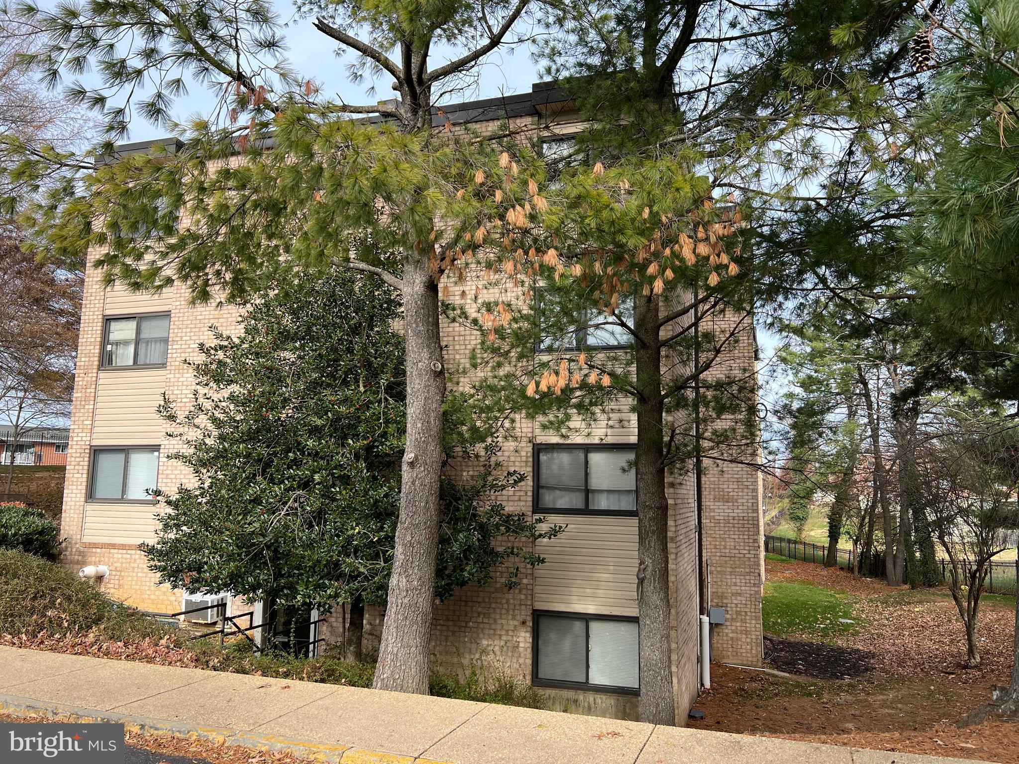 6308 Hil Mar Dr #8-3