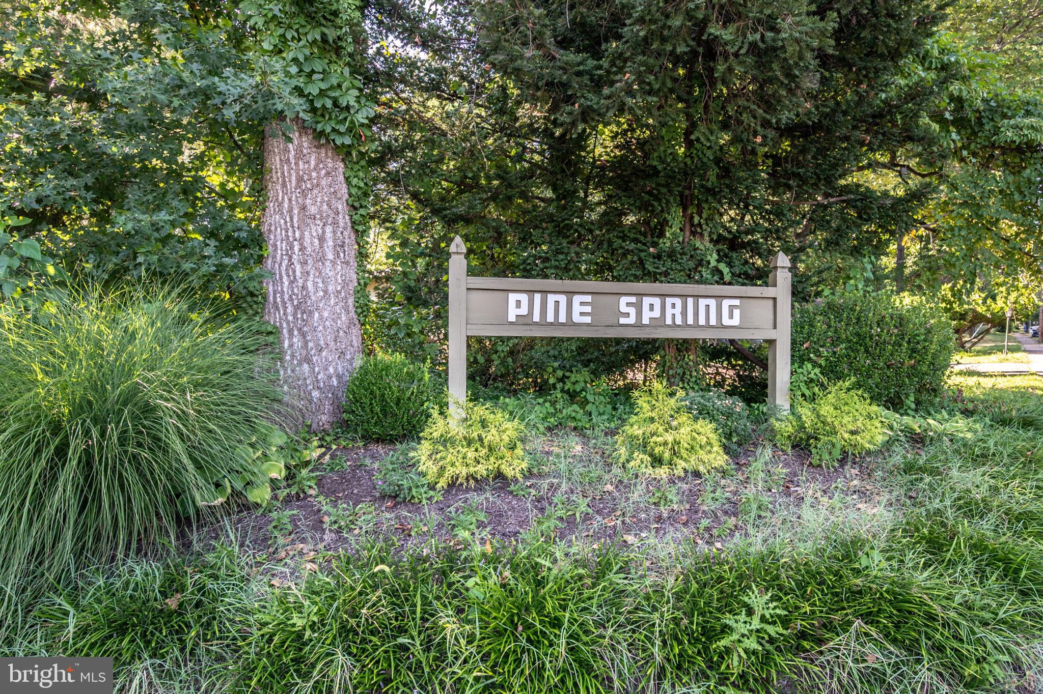 2910 PINE SPRING ROAD